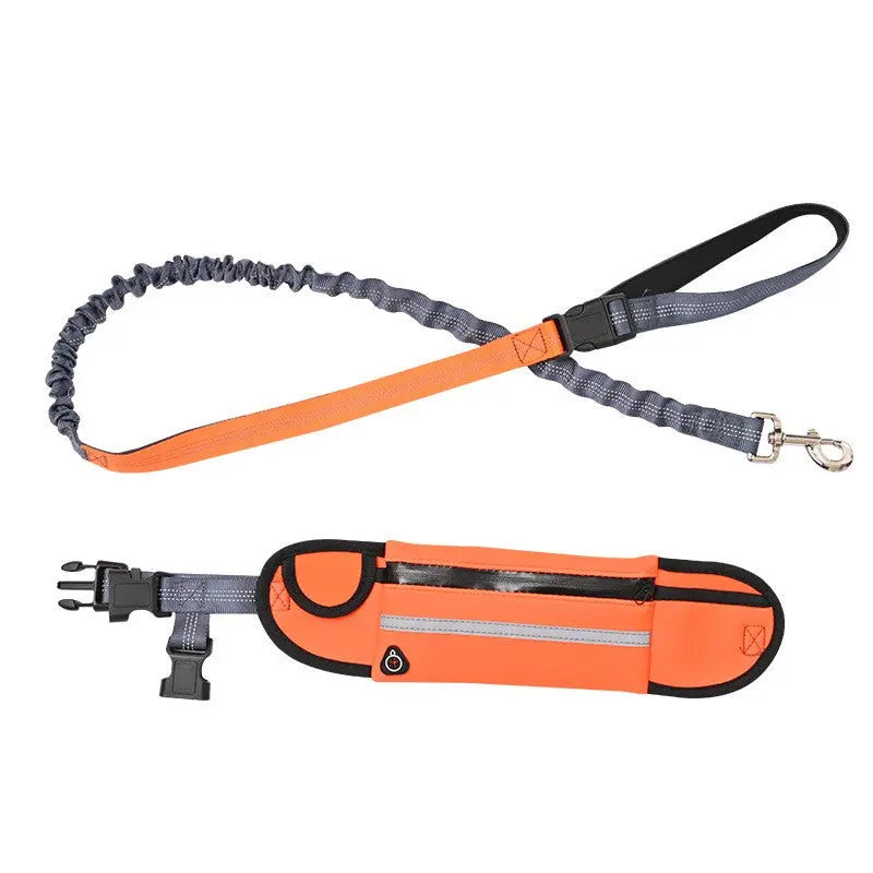 NNEAGS Orange Adjustable Hands-Free Pet Leash Bag Dog Lead Walking Running Jogging Pet Essentials NNEAGS
