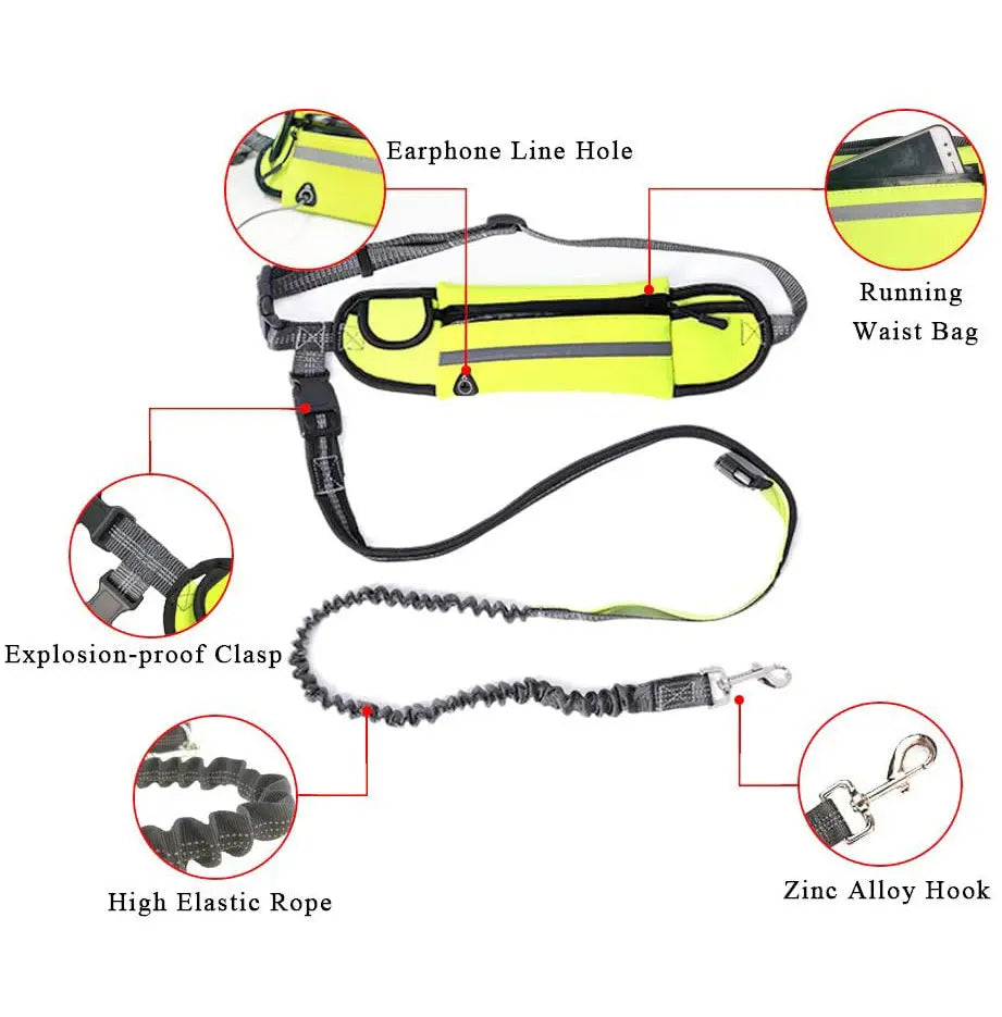 NNEAGS Yellow Adjustable Hands-Free Pet Leash Bag Dog Lead Walking Running Jogging Pet Essentials NNEAGS