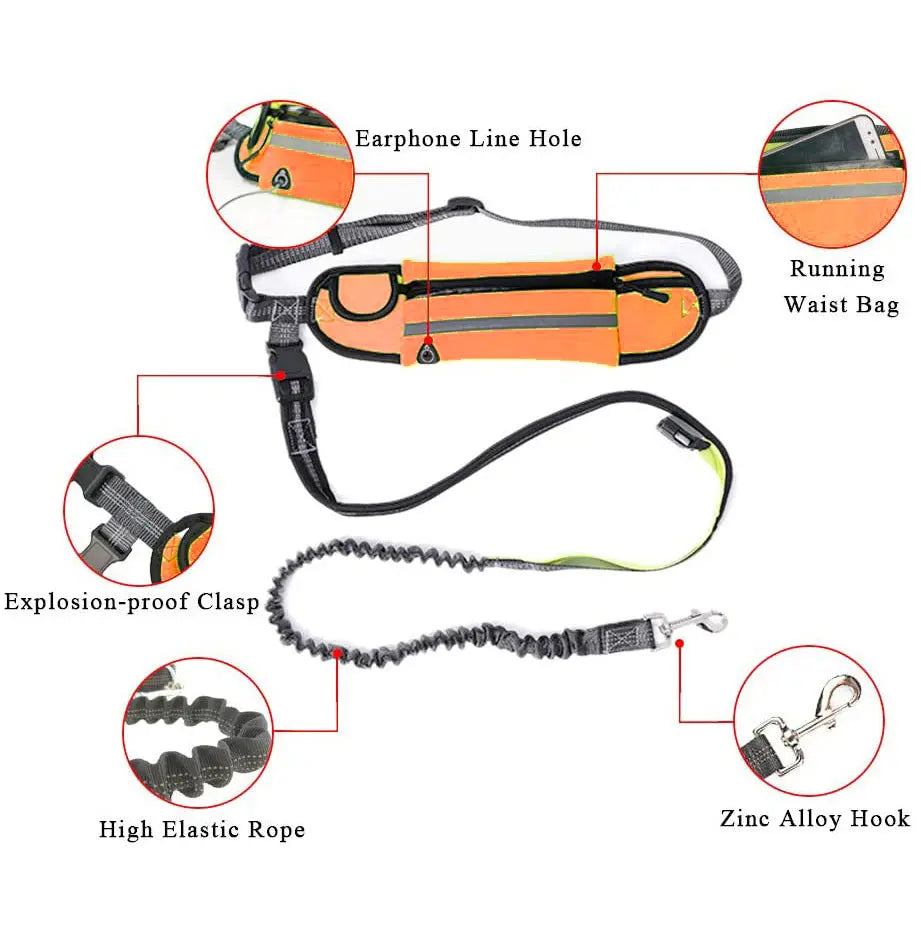 NNEAGS Orange Adjustable Hands-Free Pet Leash Bag Dog Lead Walking Running Jogging Pet Essentials NNEAGS