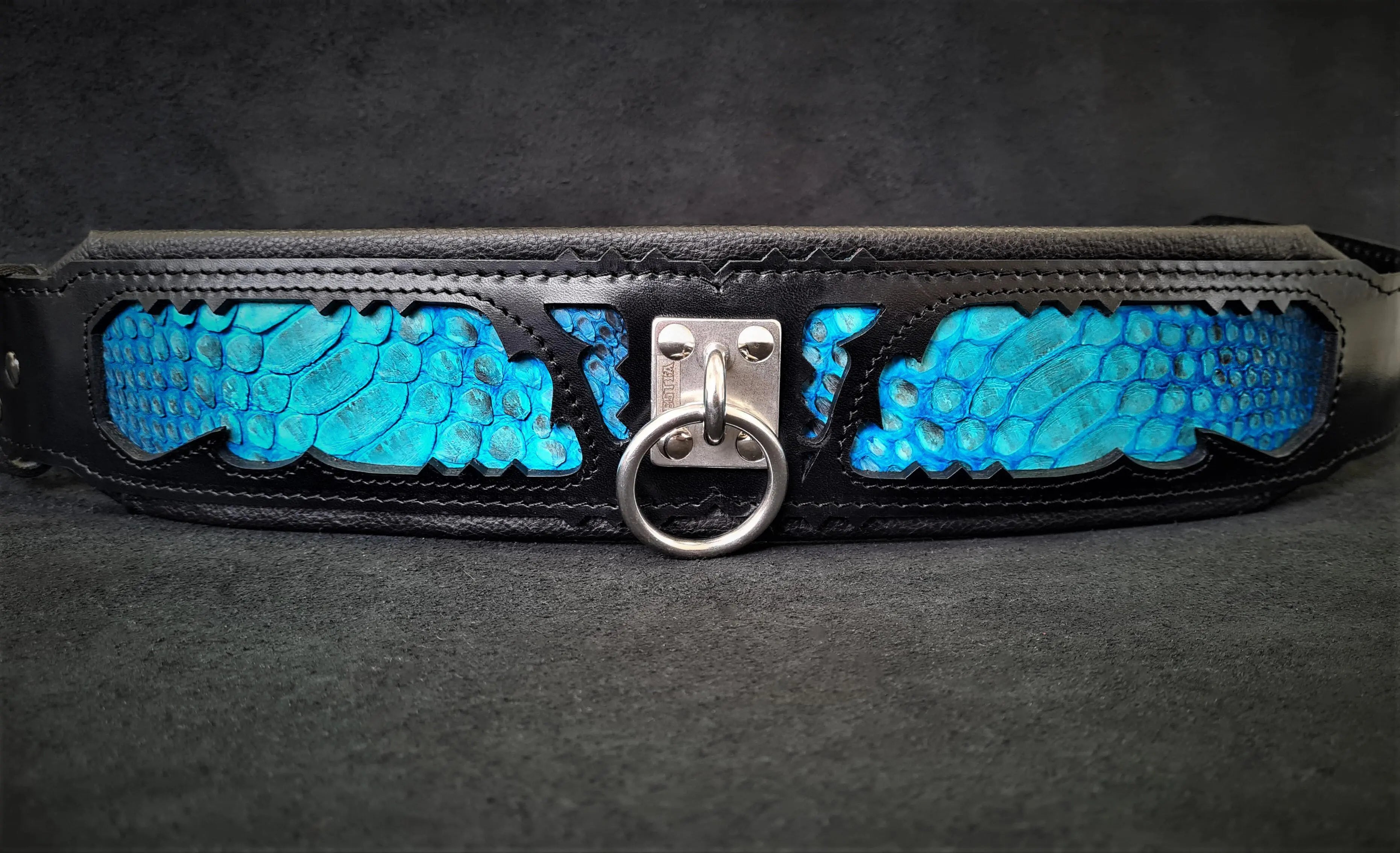The ''Morelia Python'' collar BESTIA