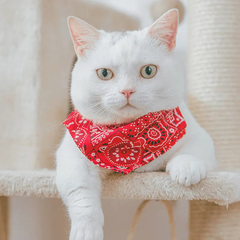 Outfits for pets Woof & Meow