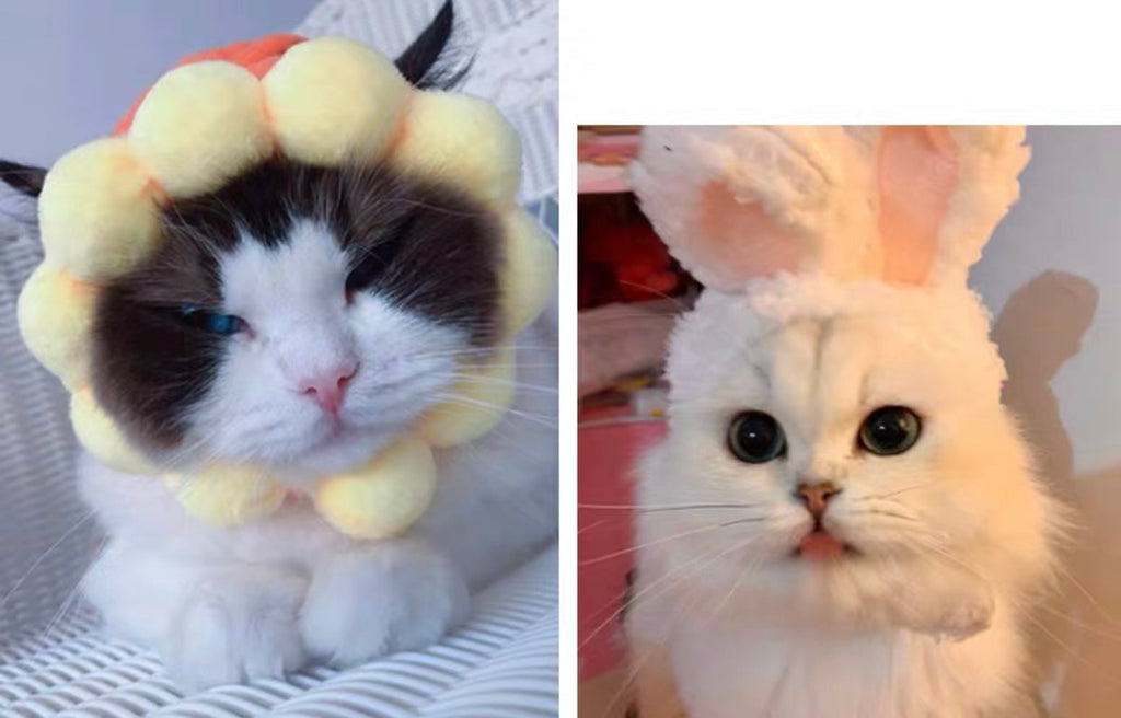 Bunny Bonnet For pets Woof & Meow