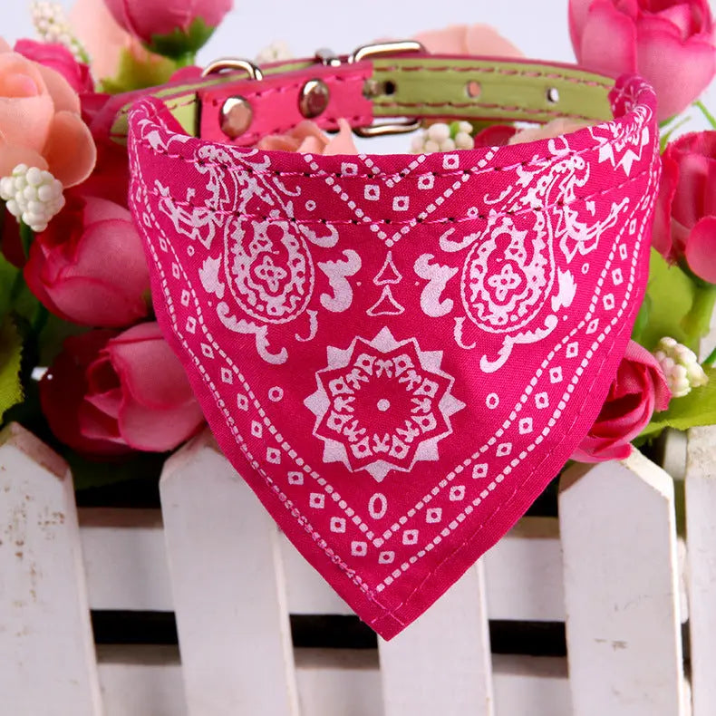 Outfits for pets Woof & Meow