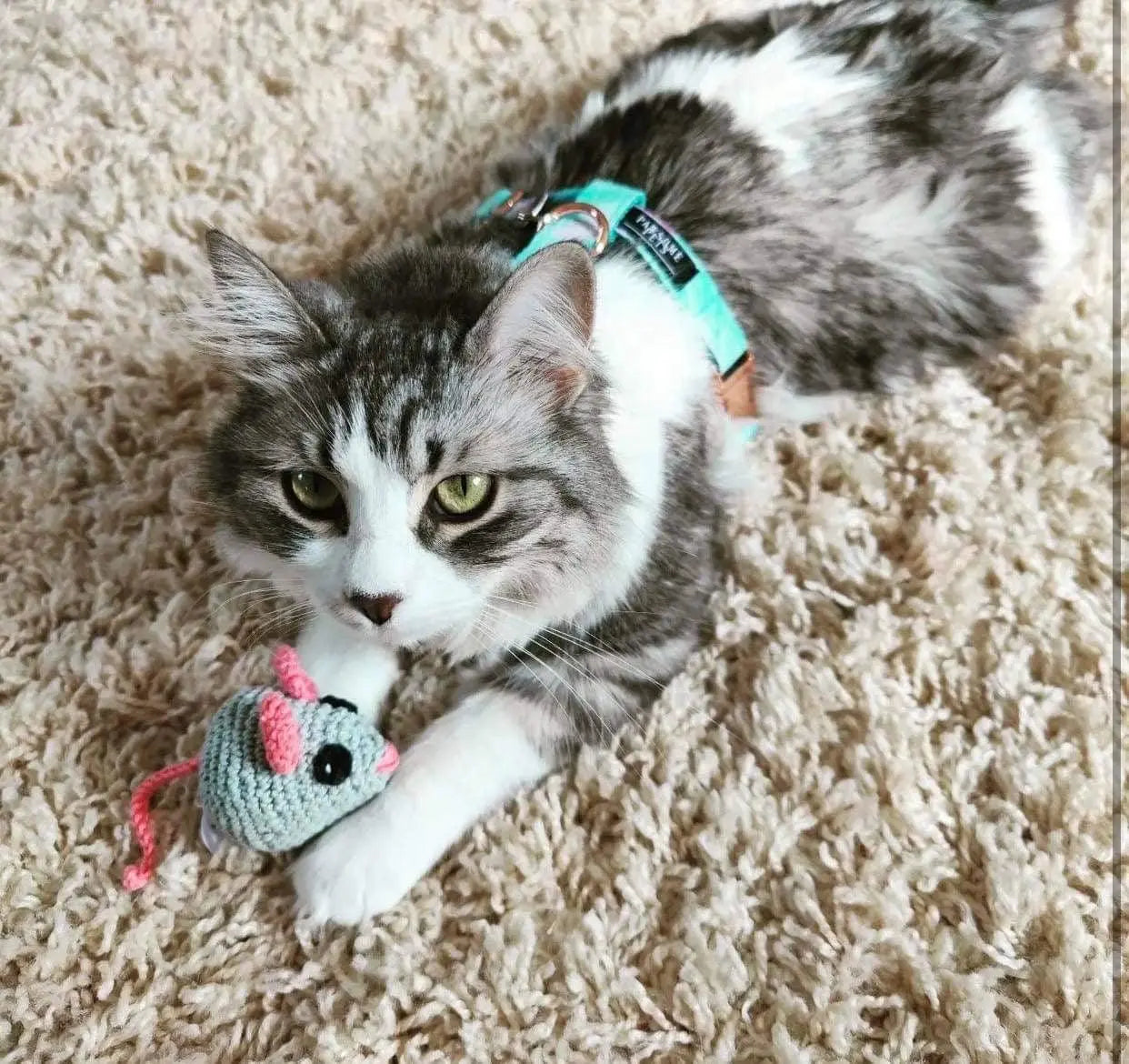 STEP IN HARNESS - SKY PAWSOME PETS