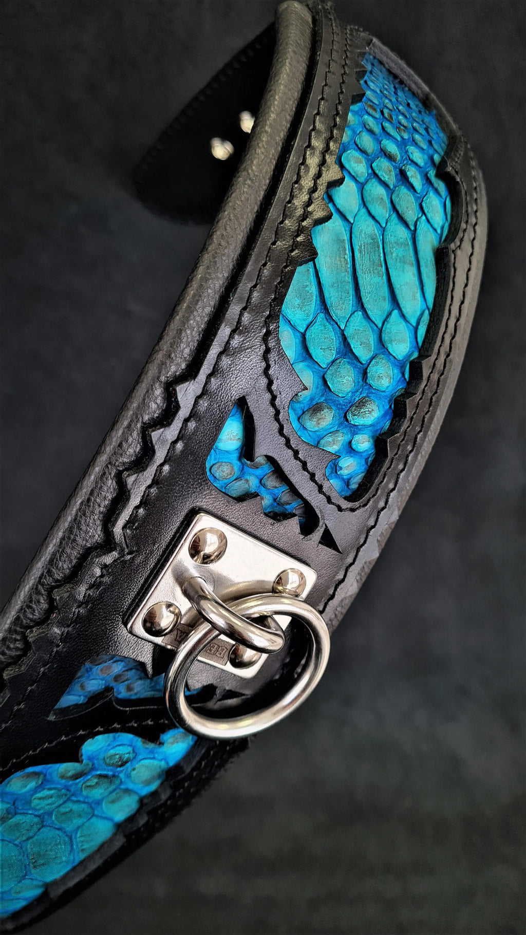 The ''Morelia Python'' collar BESTIA
