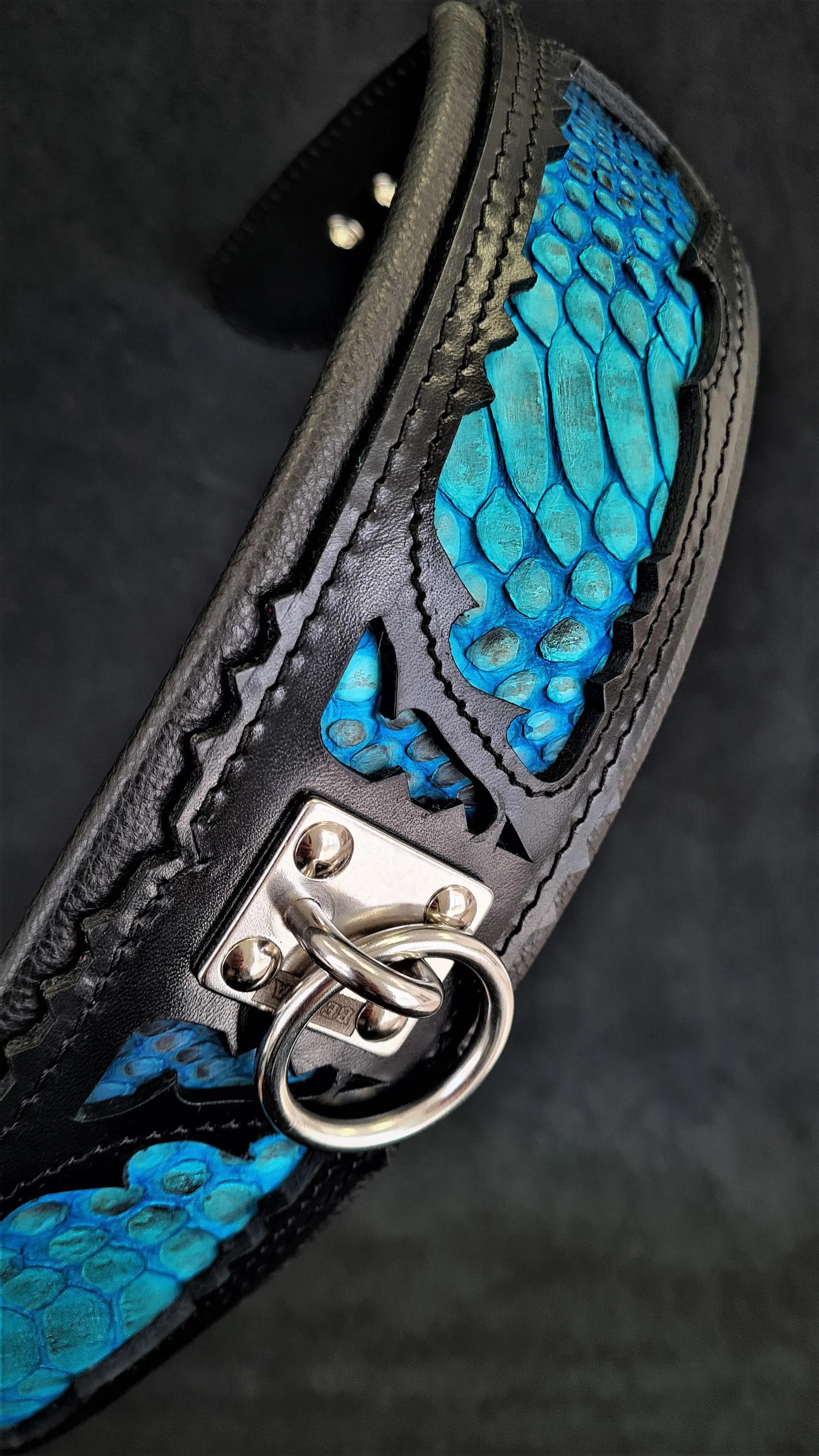 The ''Morelia Python'' collar BESTIA