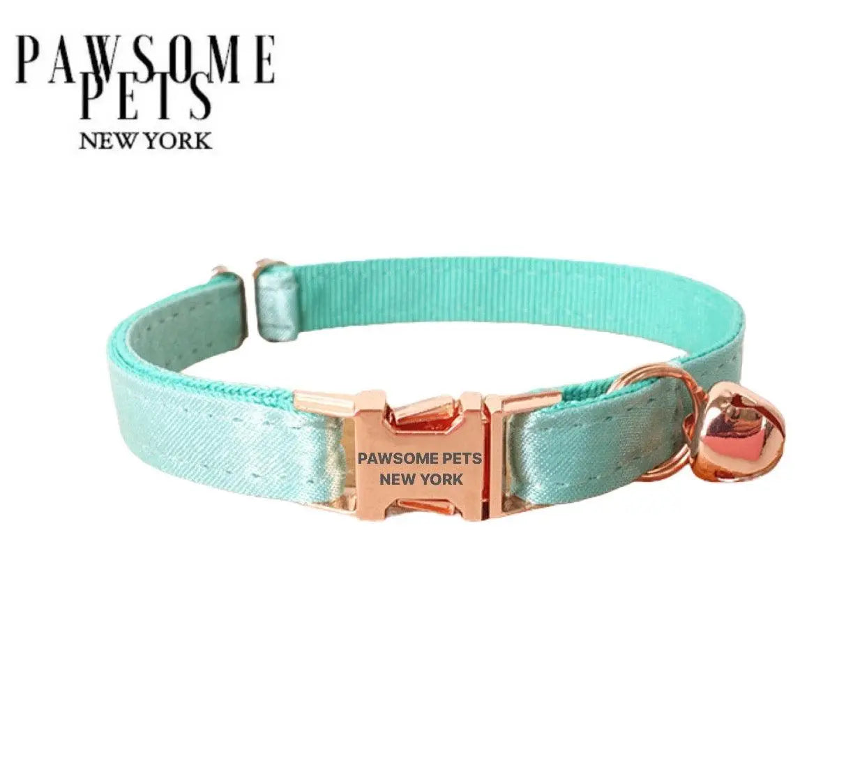 SMALL SIZE DOG & CAT COLLAR - SILVER MINT GREEN Pawsomepetsnewyork