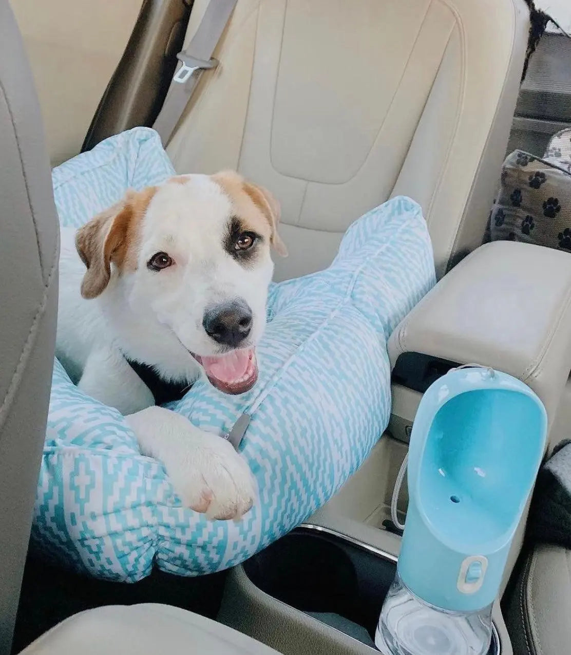 2 IN 1 PORTABLE PET FEEDER - LIGHT GREY PAWSOME PETS