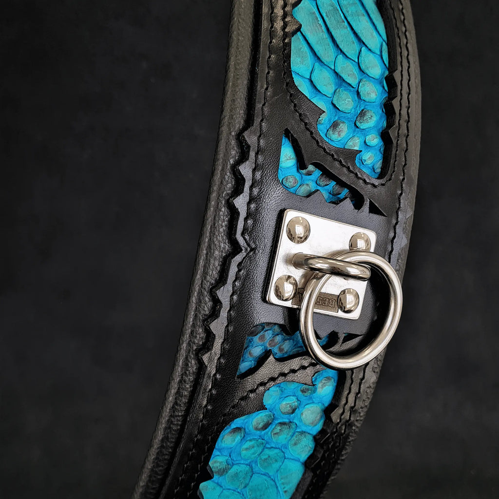 The ''Morelia Python'' collar BESTIA