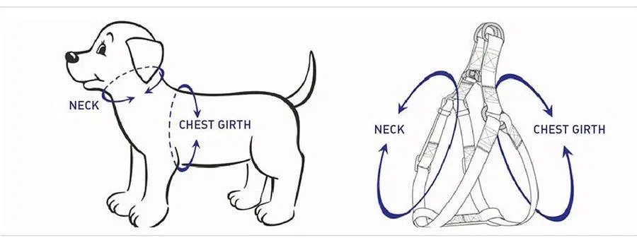 STEP IN BUNDLE - PINK (5 PIECES) PAWSOME PETS