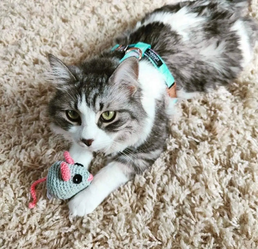 STEP IN BUNDLE - SKY (2 PIECES) PAWSOME PETS