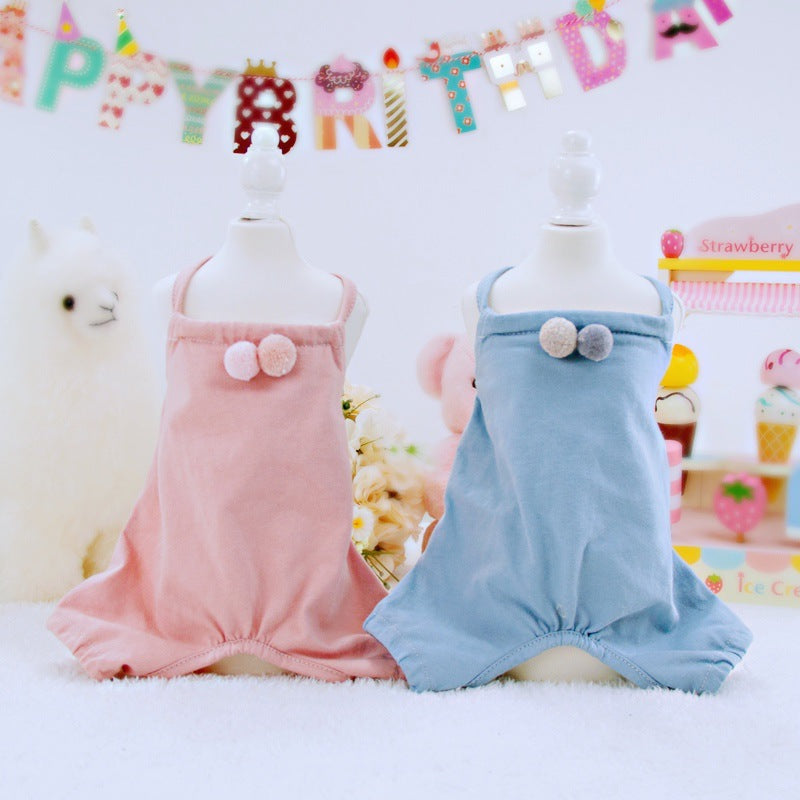 Birthday Party outfits for pets Woof & Meow