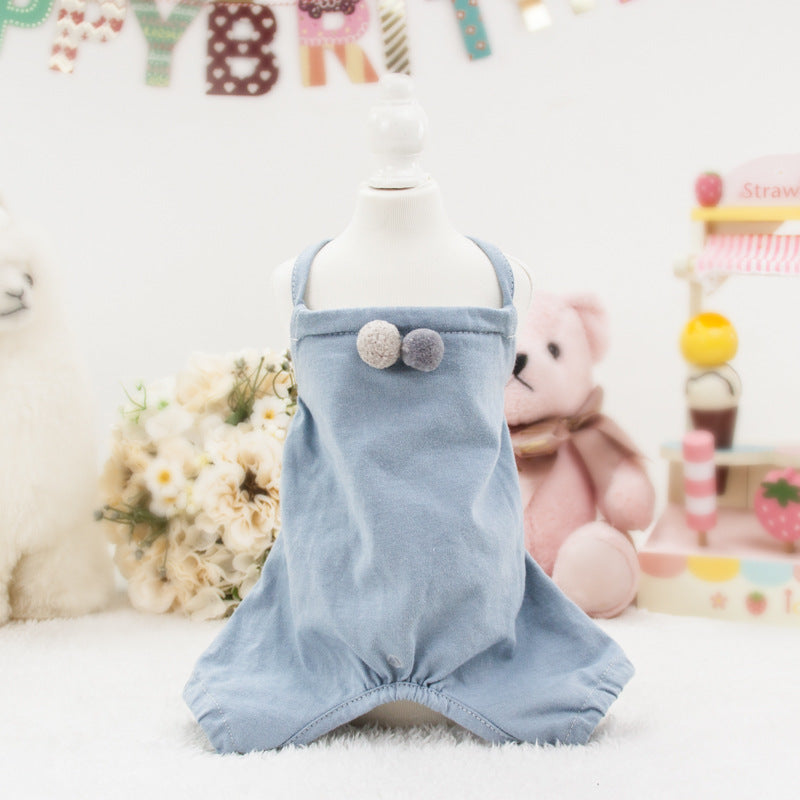 Birthday Party outfits for pets Woof & Meow