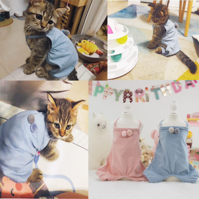 Birthday Party outfits for pets Woof & Meow