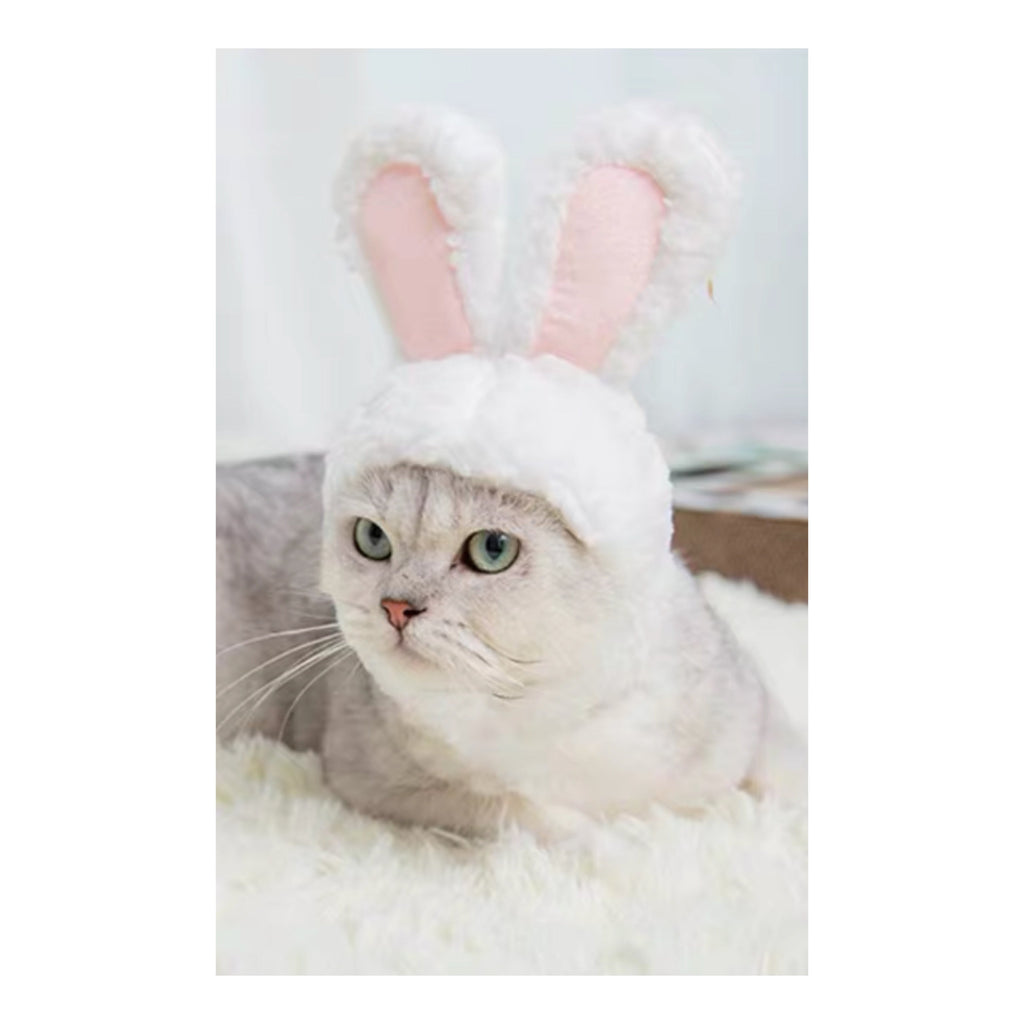 Bunny Bonnet For pets Woof & Meow