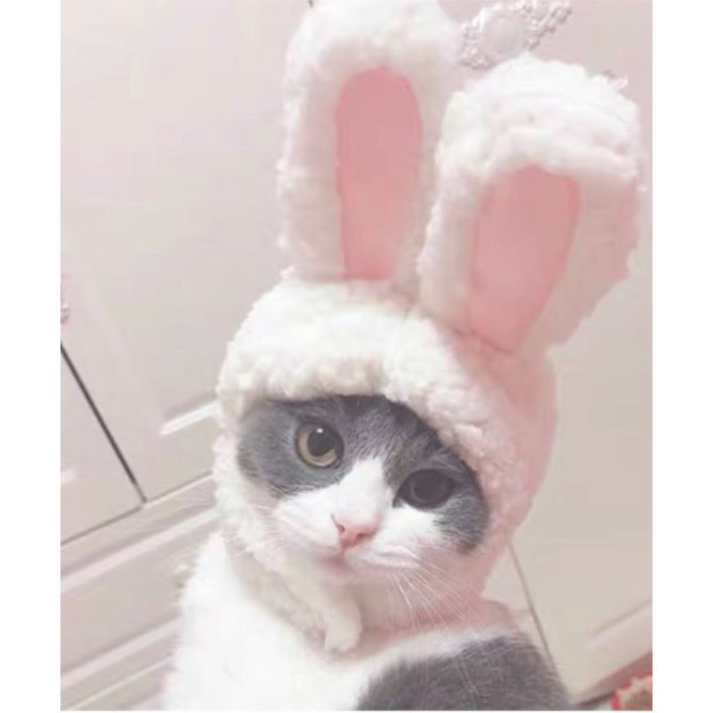Bunny Bonnet For pets Woof & Meow