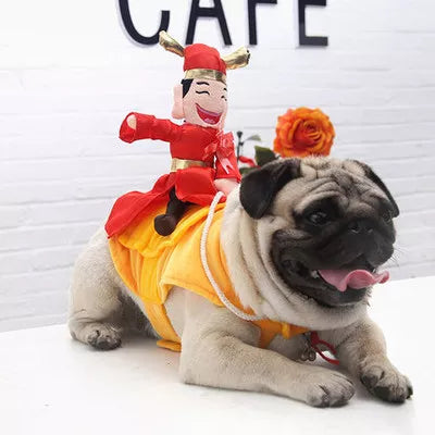 Funniest outfits for pets Woof & Meow