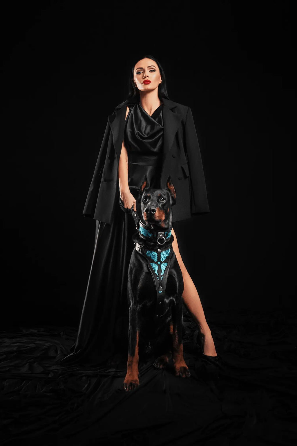 The ''Morelia Python'' collar BESTIA