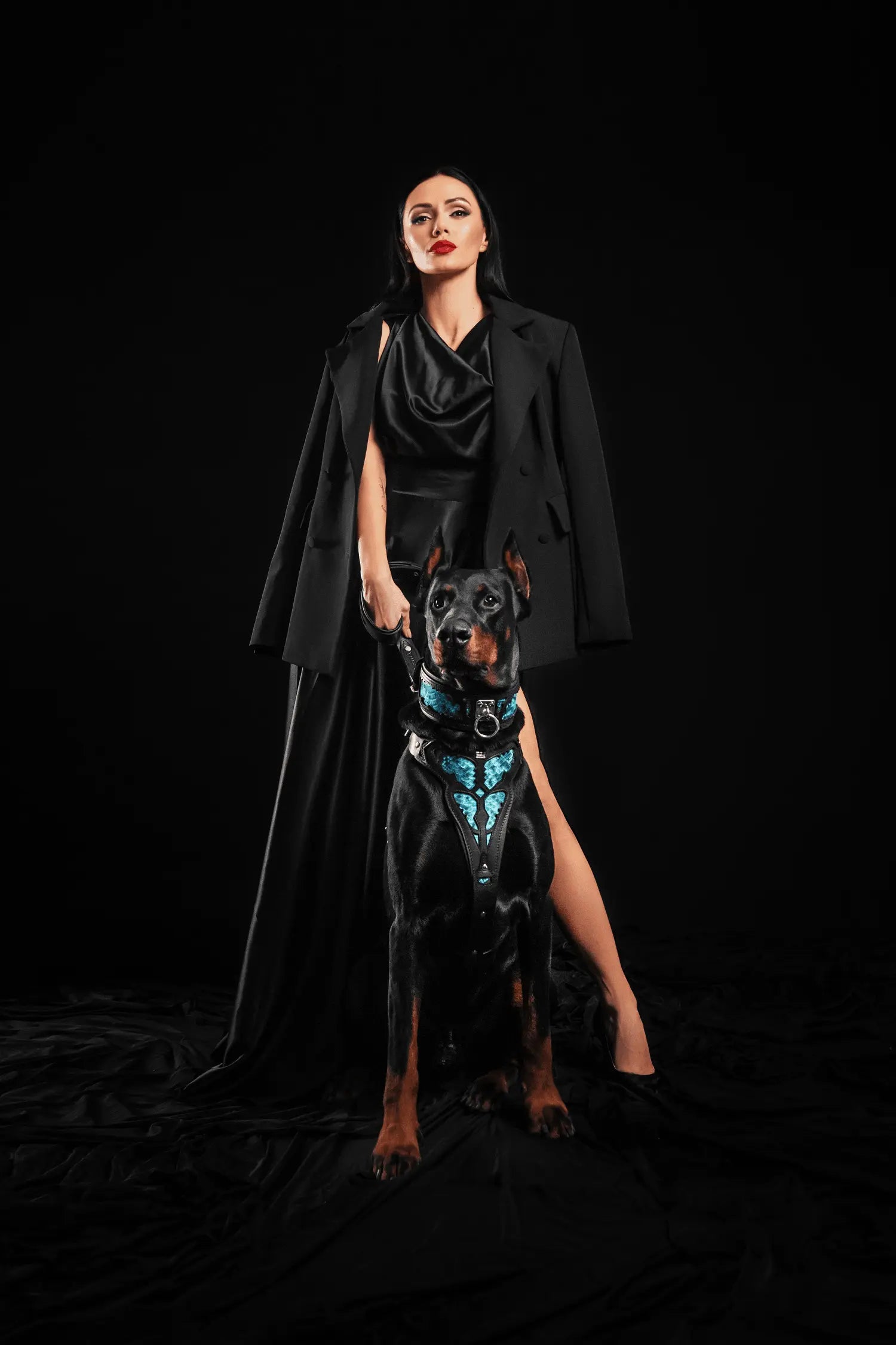 The ''Morelia Python'' collar BESTIA