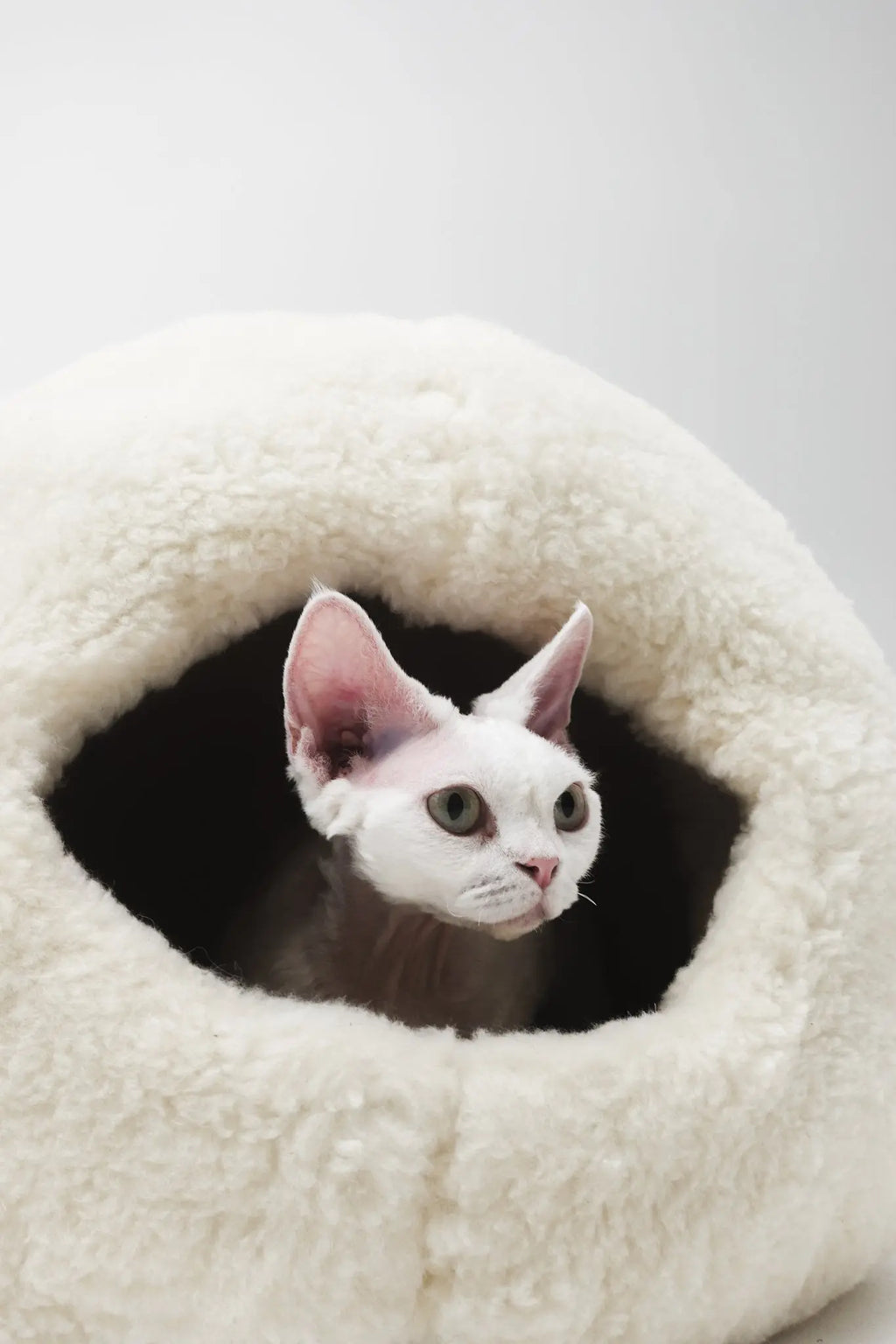 Nest Natural Woolen Pet Bed - White MellowConceptStore