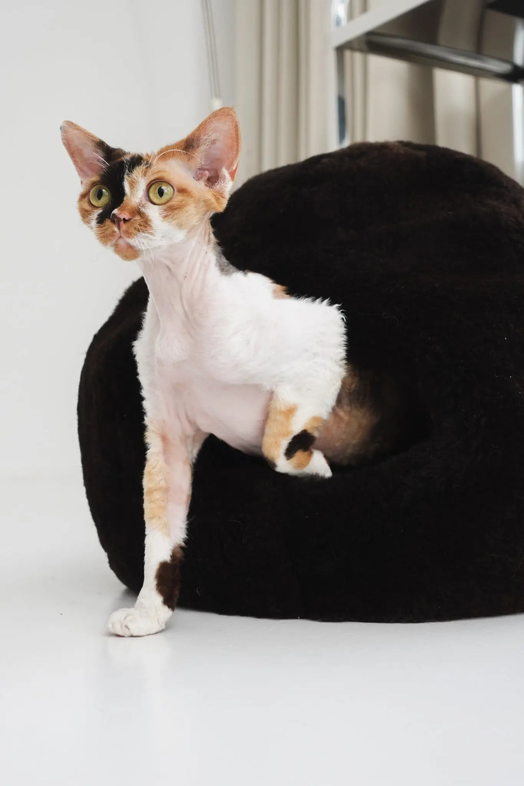 Nest Natural Sheepskin Pet Bed - Brown MellowConceptStore