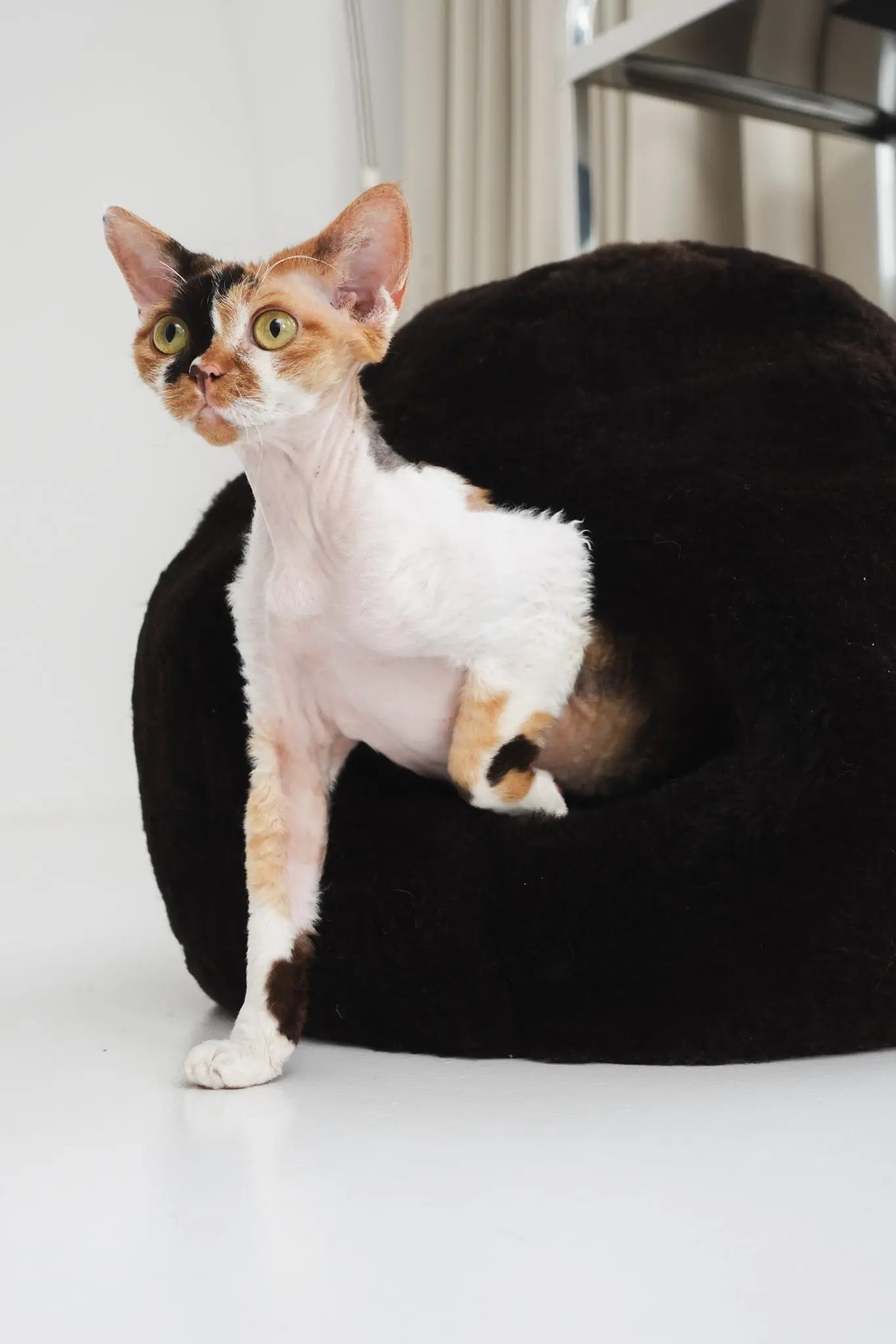 Nest Natural Sheepskin Pet Bed - Brown MellowConceptStore