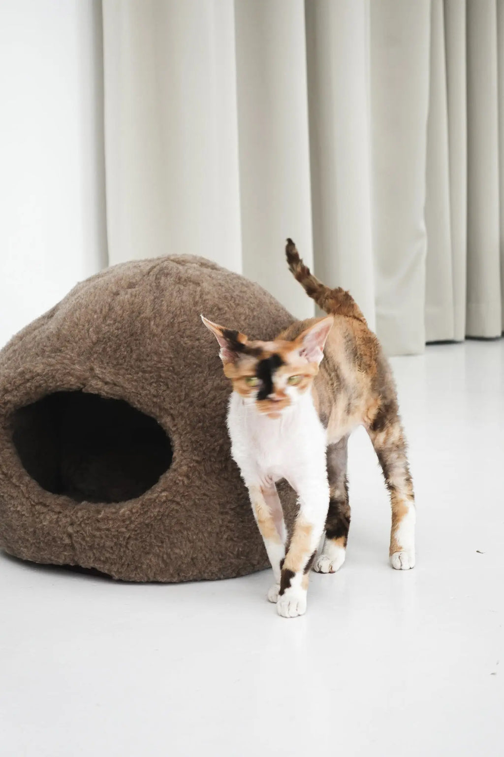 Nest Natural Sheepskin Pet Bed - Beige MellowConceptStore