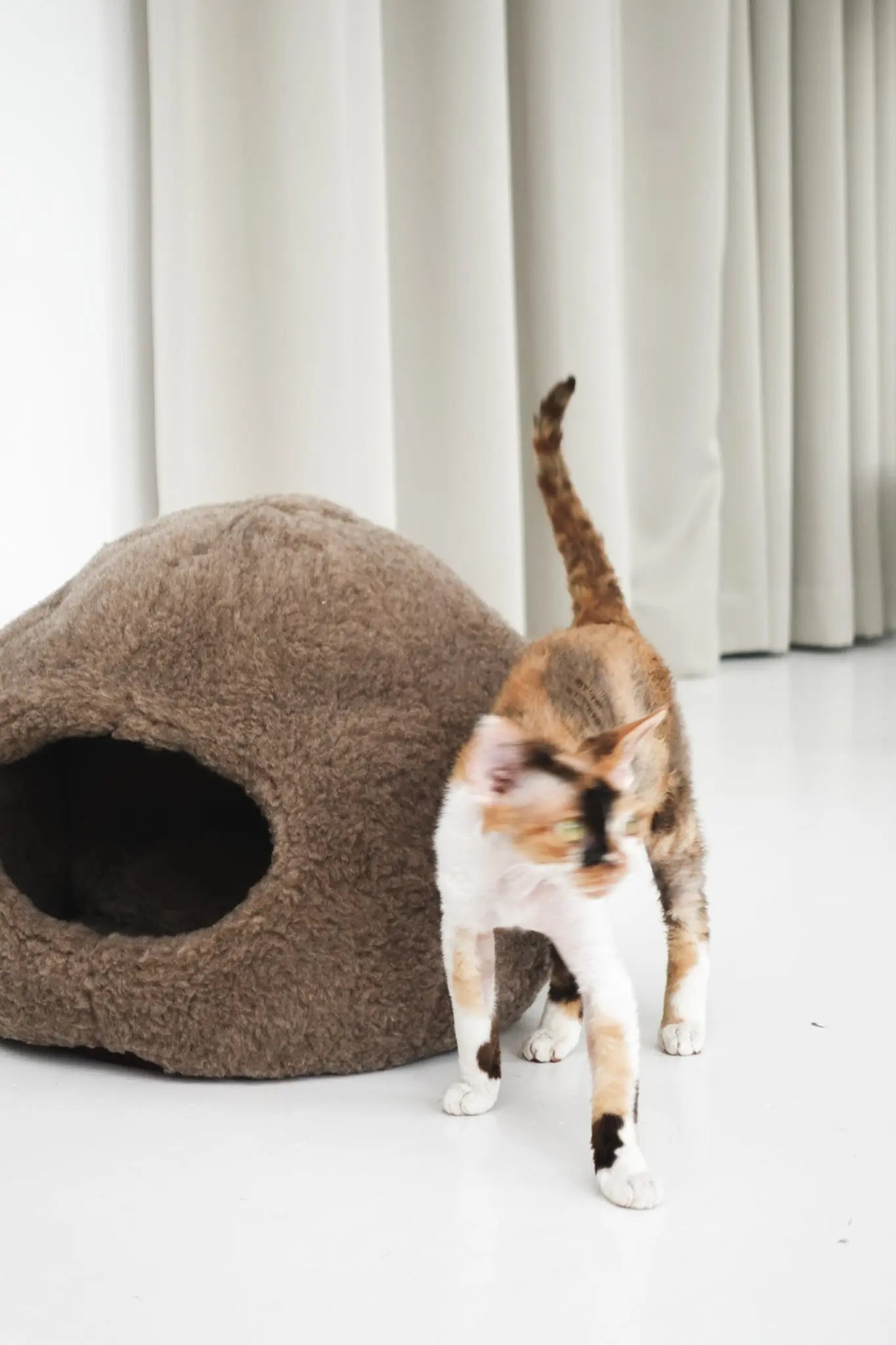 Nest Natural Sheepskin Pet Bed - Beige MellowConceptStore