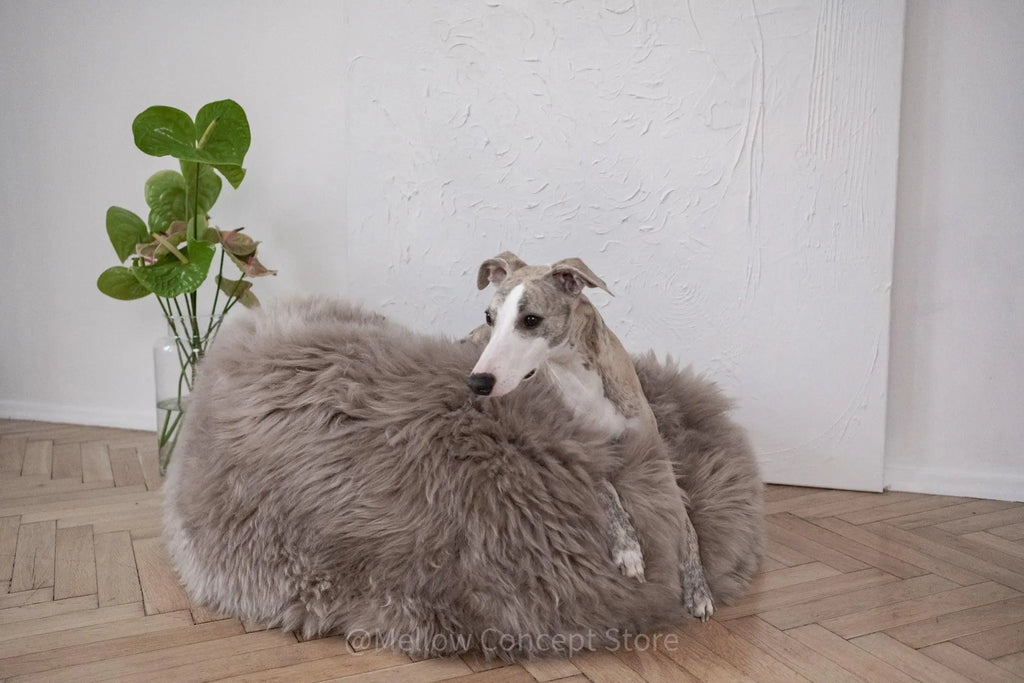 Oval Natural Sheepskin Pet Bed - Greige Mellow Pet Store