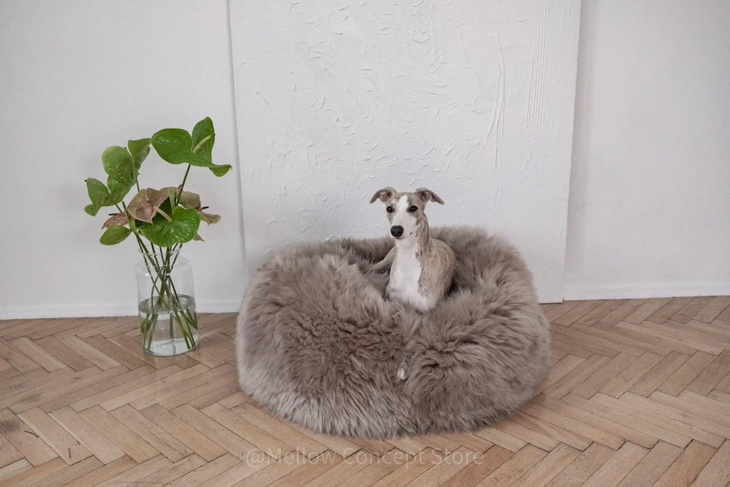 Oval Natural Sheepskin Pet Bed - Greige Mellow Pet Store