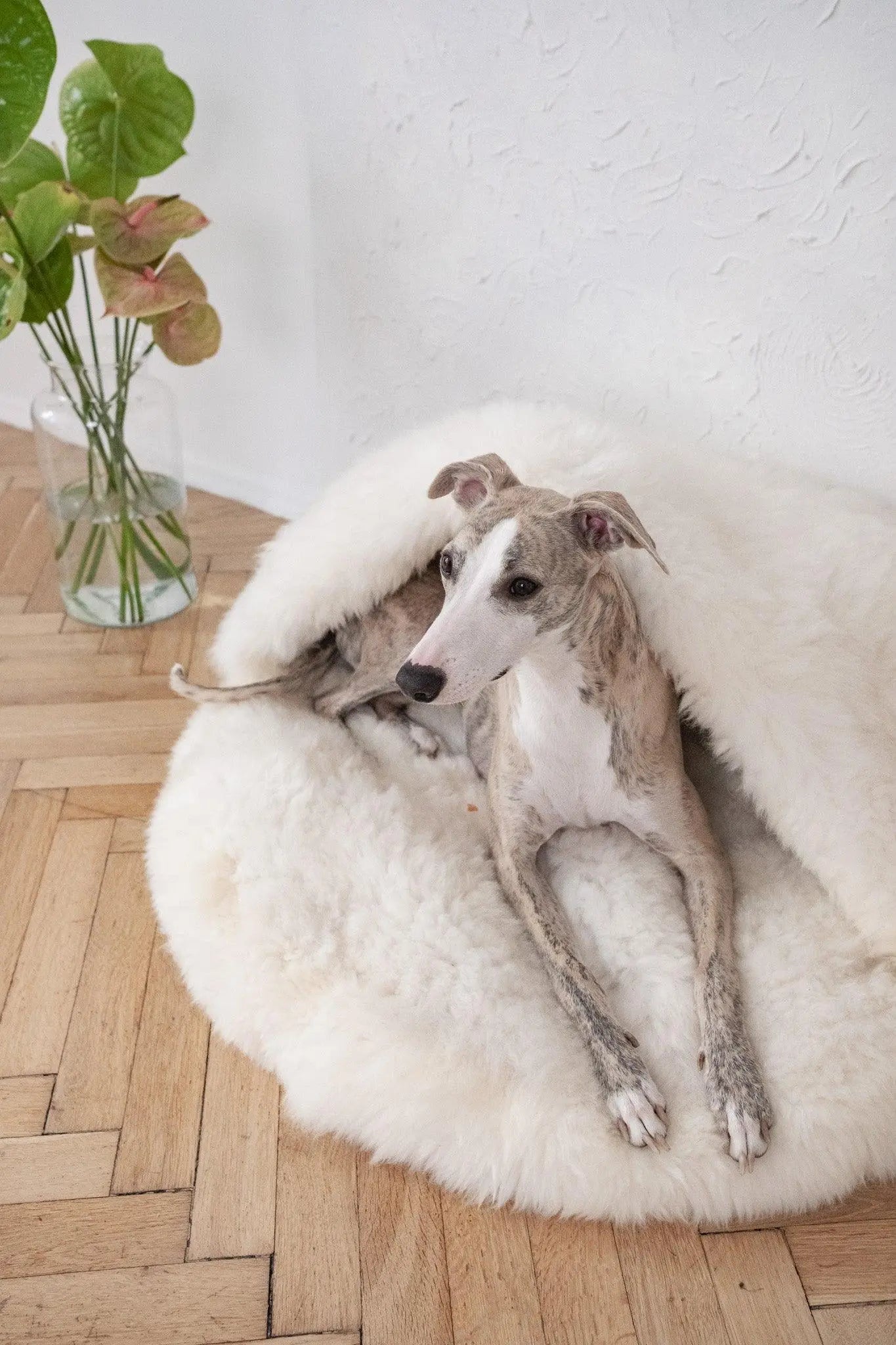 Natural Sheepskin Pet Cave - White Mellow Pet Store