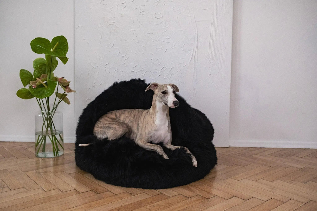 Natural Sheepskin Pet Cave - Black Mellow Pet Store