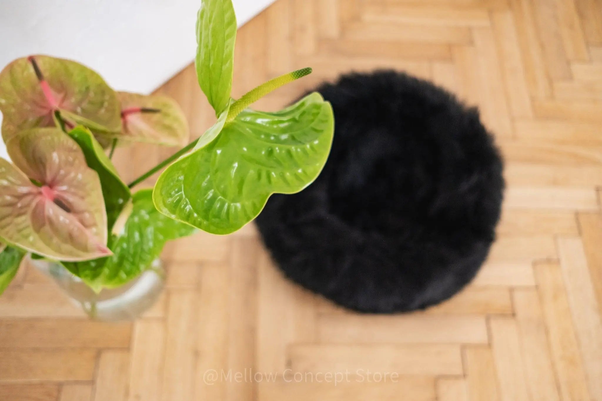 Round Natural Sheepskin Pet Bed - Black Mellow Pet Store