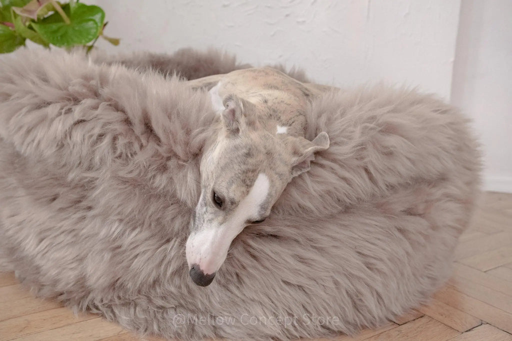 Oval Natural Sheepskin Pet Bed - Greige Mellow Pet Store