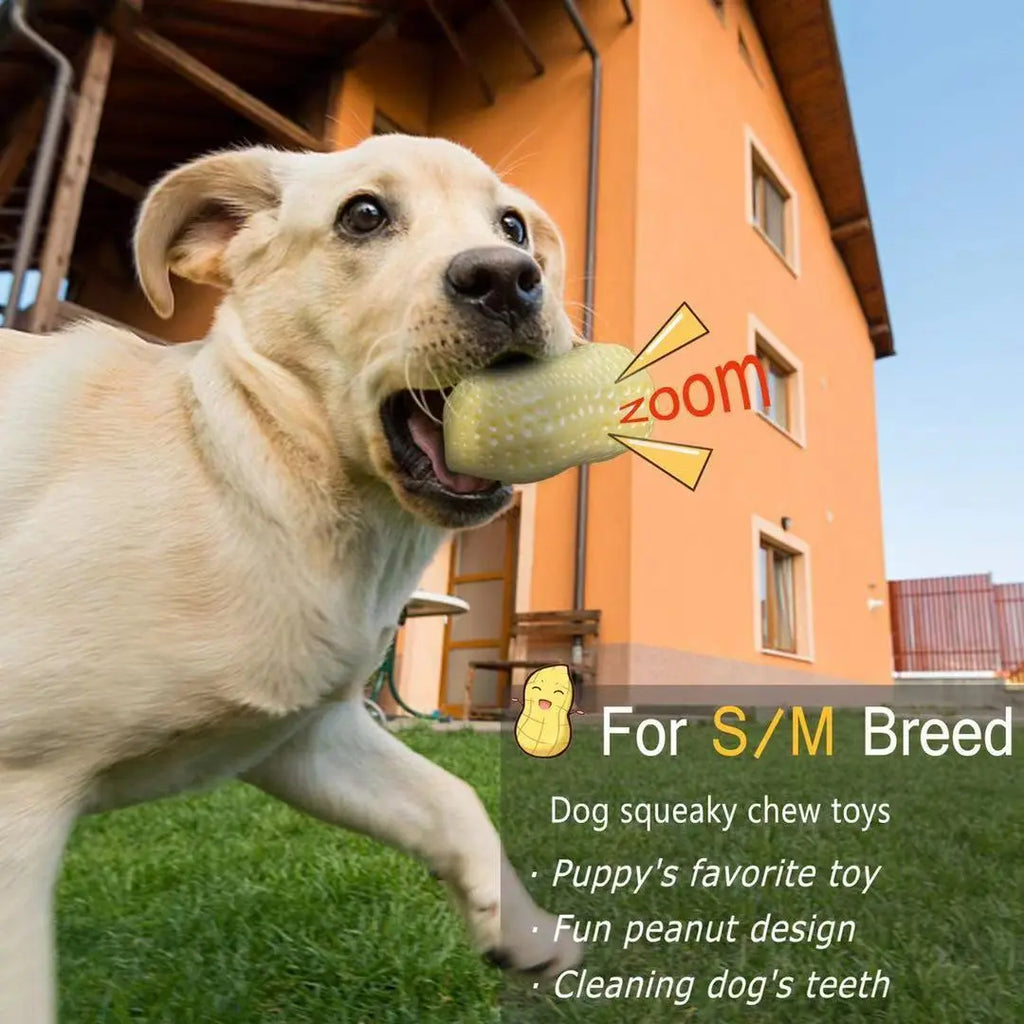 Funny Pet Dog Squeaky Peanut Chew Toy Cashymart