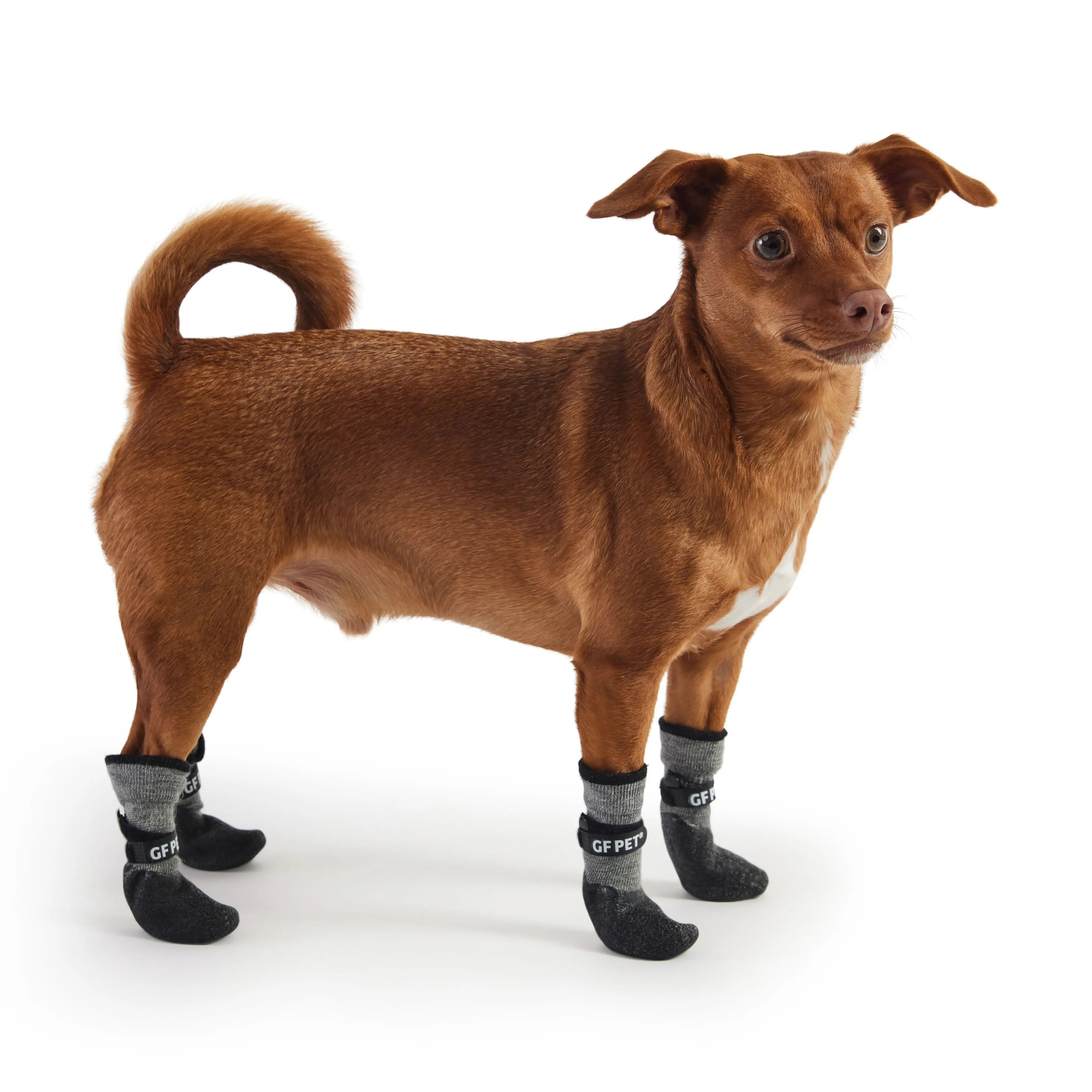 All Terrain Boots - Charcoal GF Pet.us