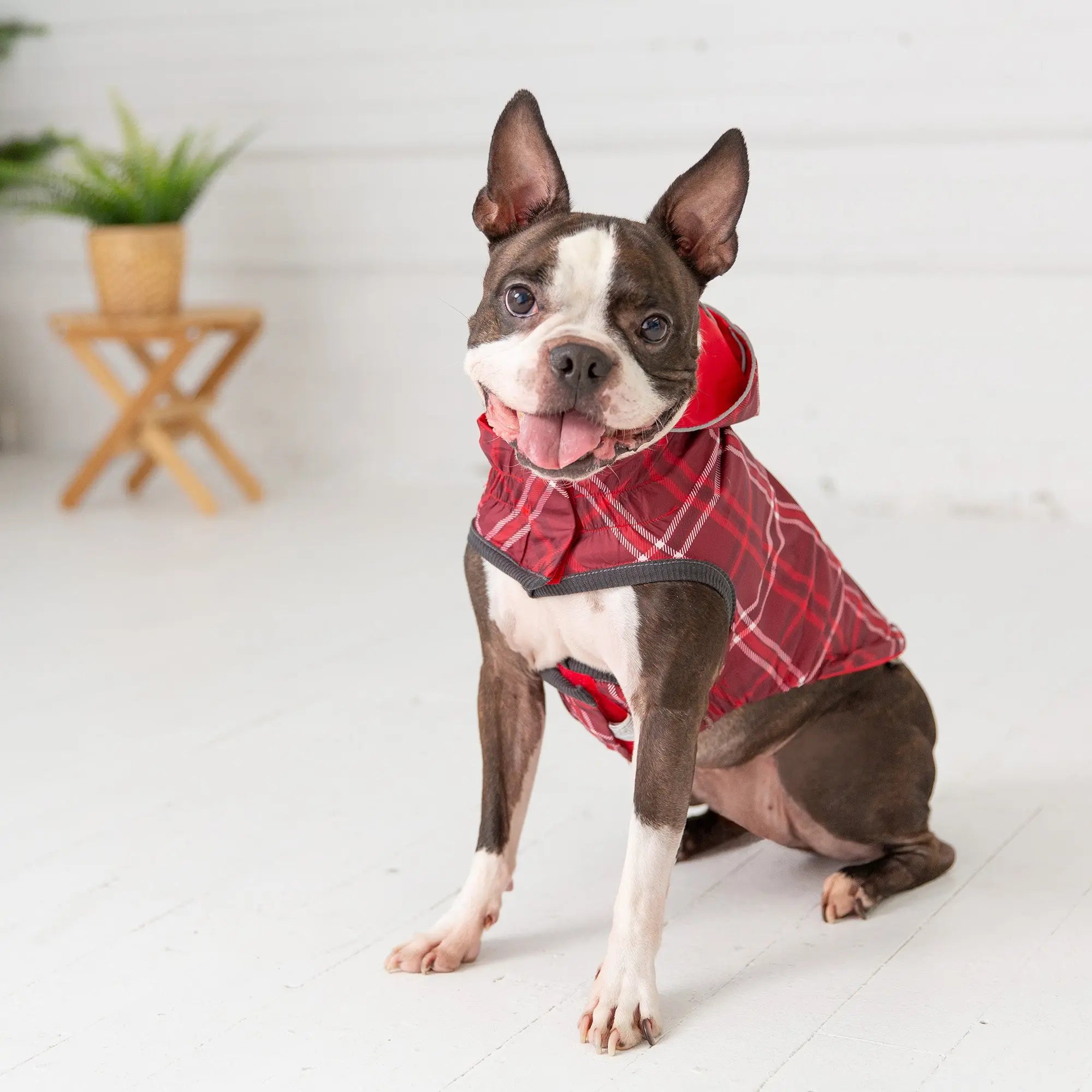 Reversible Elasto-Fit Raincoat - Red GF Pet