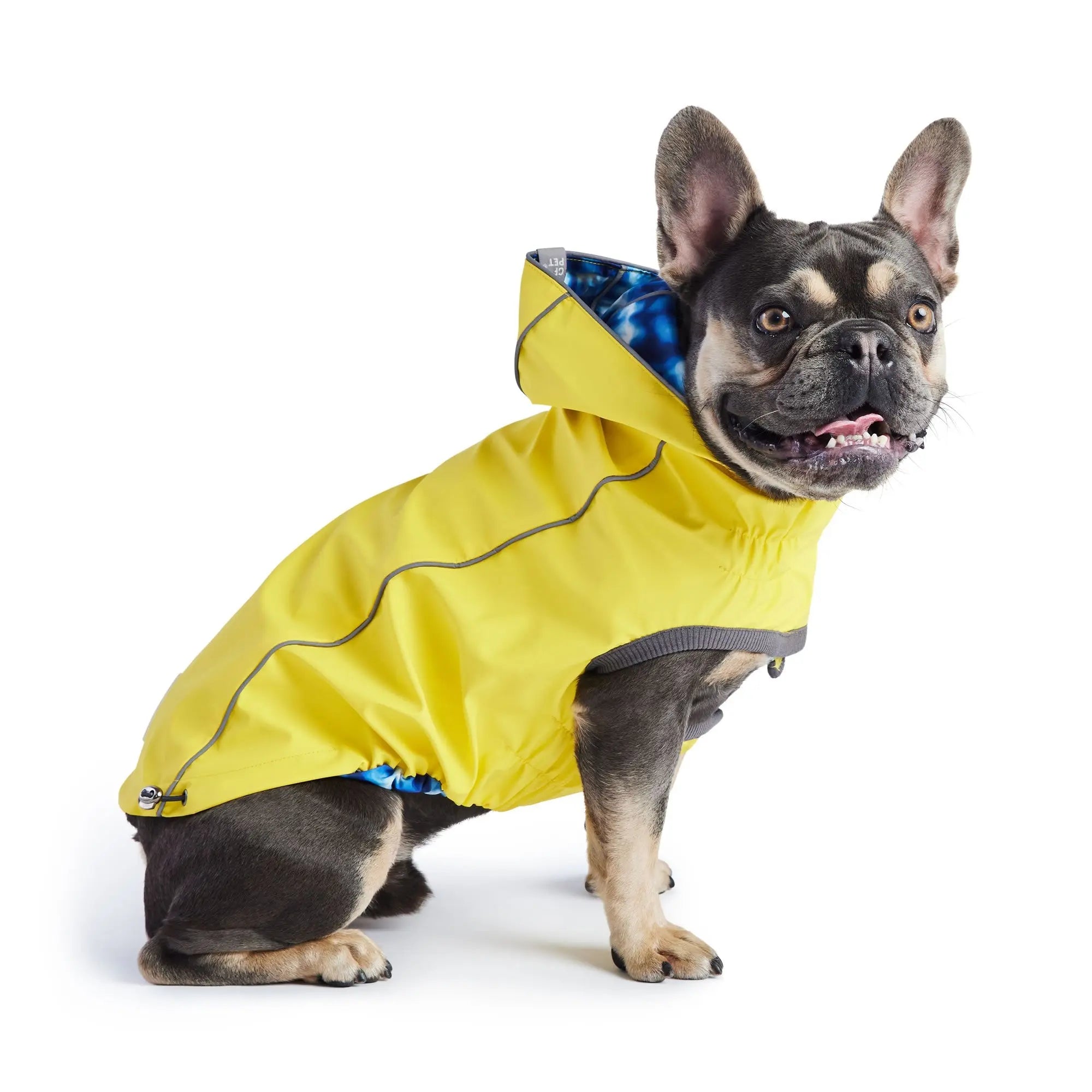 Reversible Elasto-Fit Raincoat - Yellow/Blue GF Pet