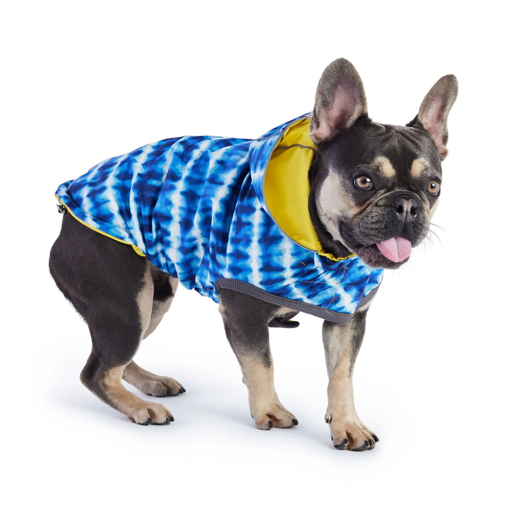 Reversible Elasto-Fit Raincoat - Yellow/Blue GF Pet