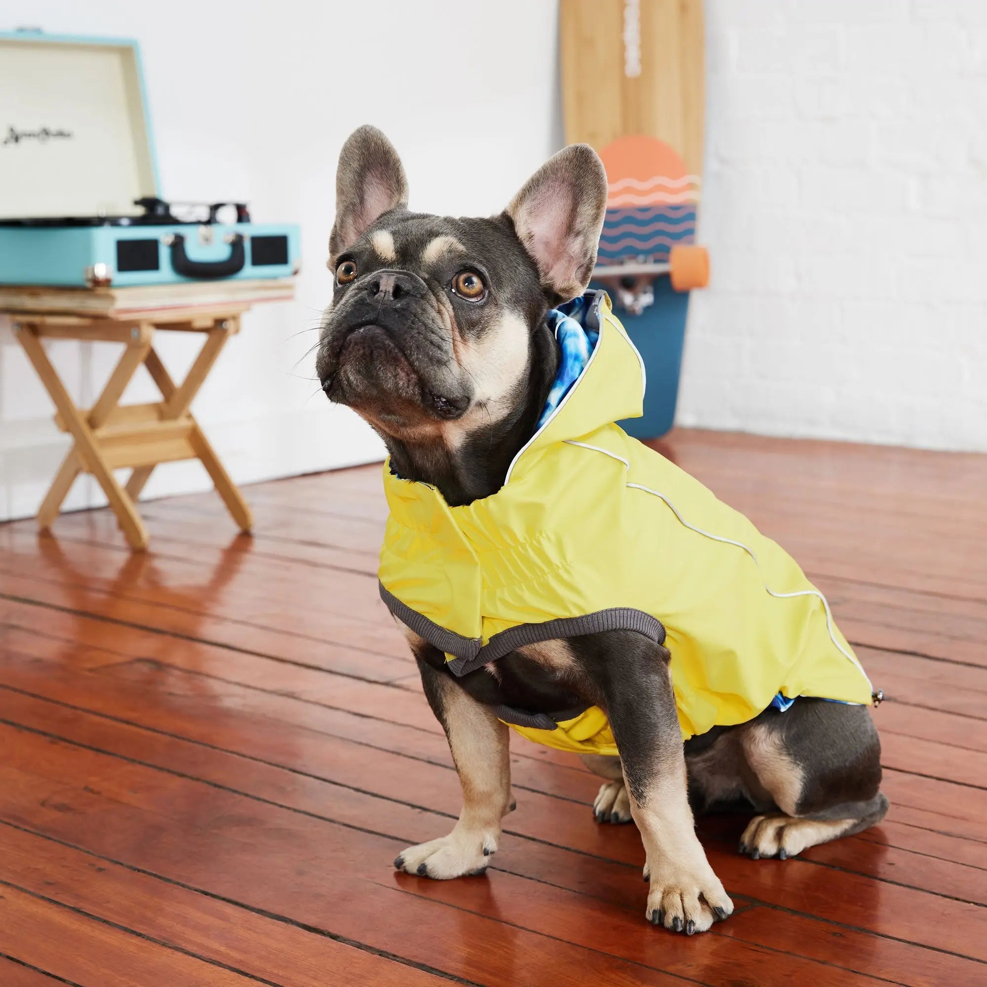 Reversible Elasto-Fit Raincoat - Yellow/Blue GF Pet