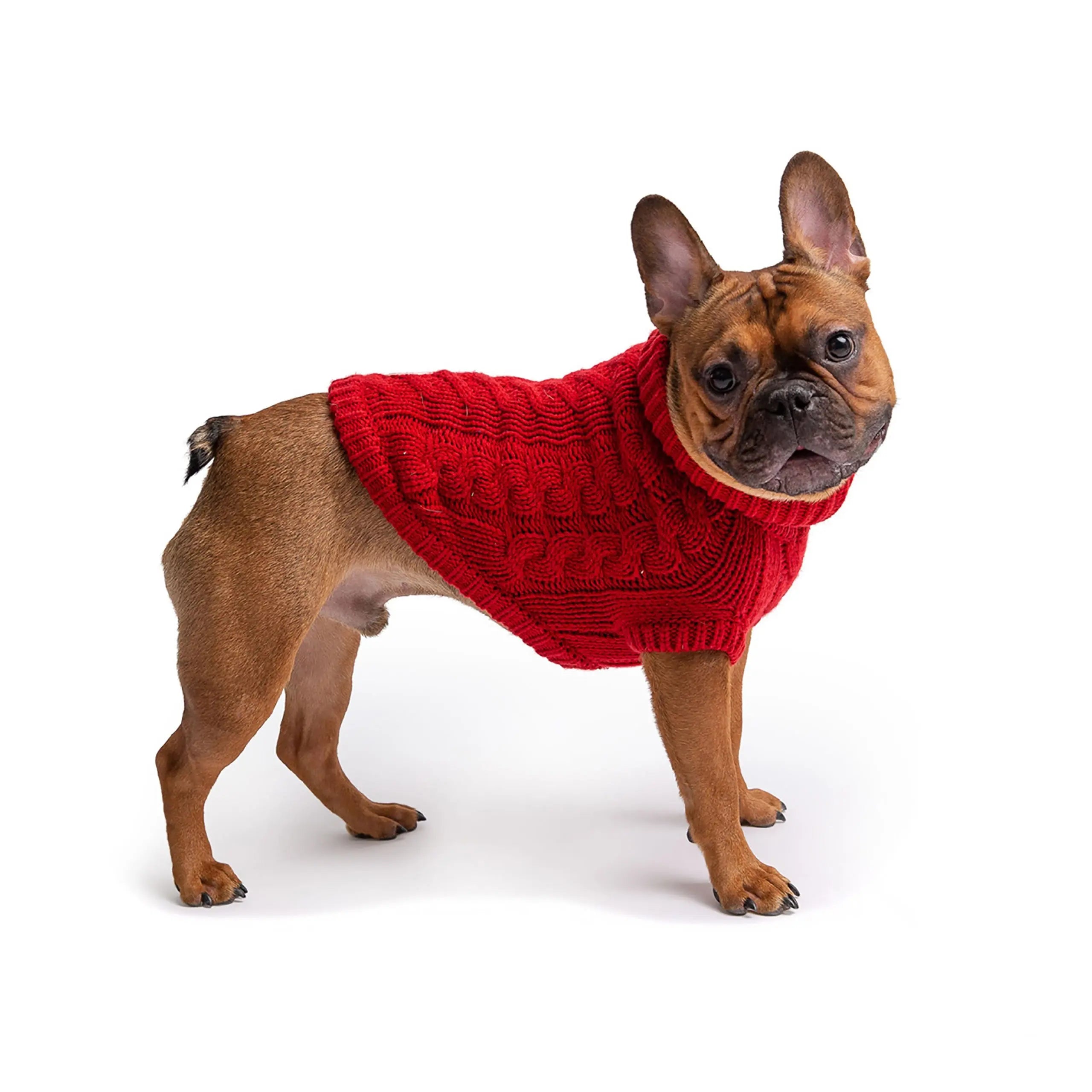 Chalet Sweater - Red GF Pet