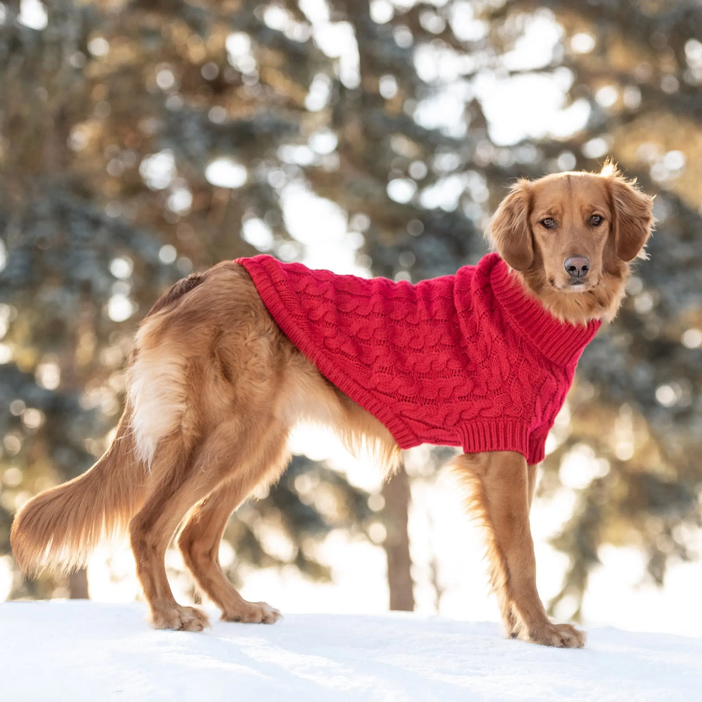 Chalet Sweater - Red GF Pet