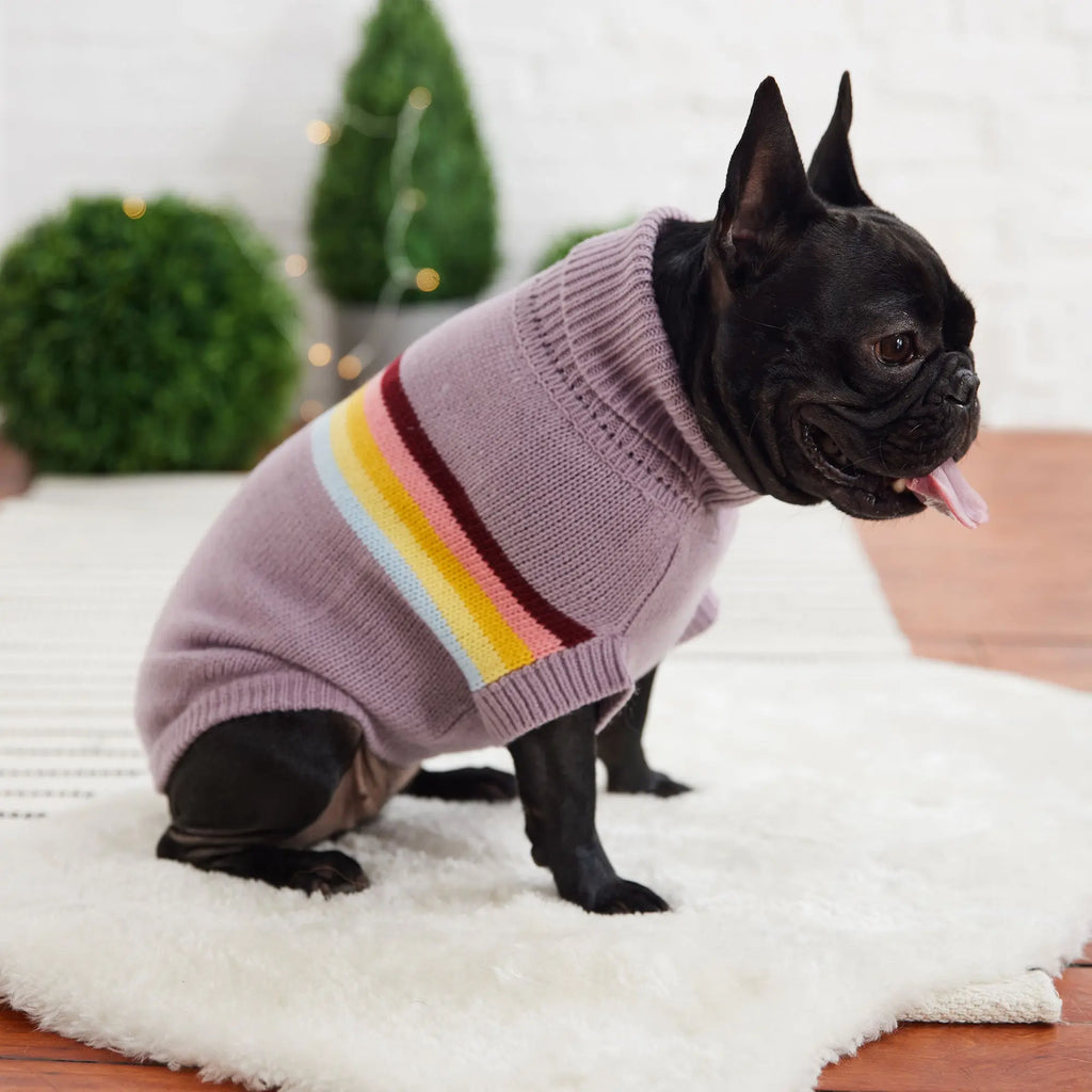 Retro Sweater - Lavender GF Pet