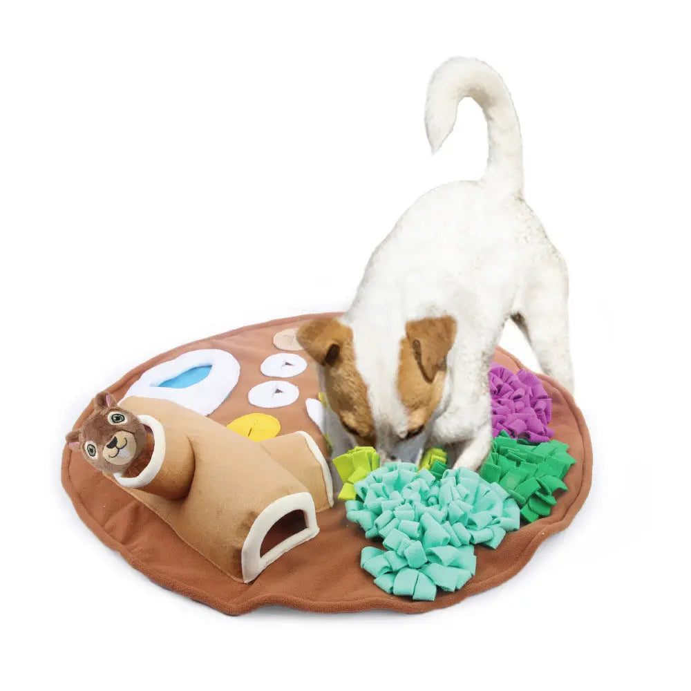 Interactive and Eco-friendly Washable Pet Mat Cashymart