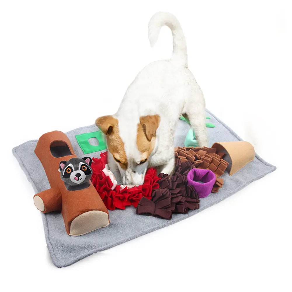 Interactive and Eco-friendly Washable Pet Mat Cashymart