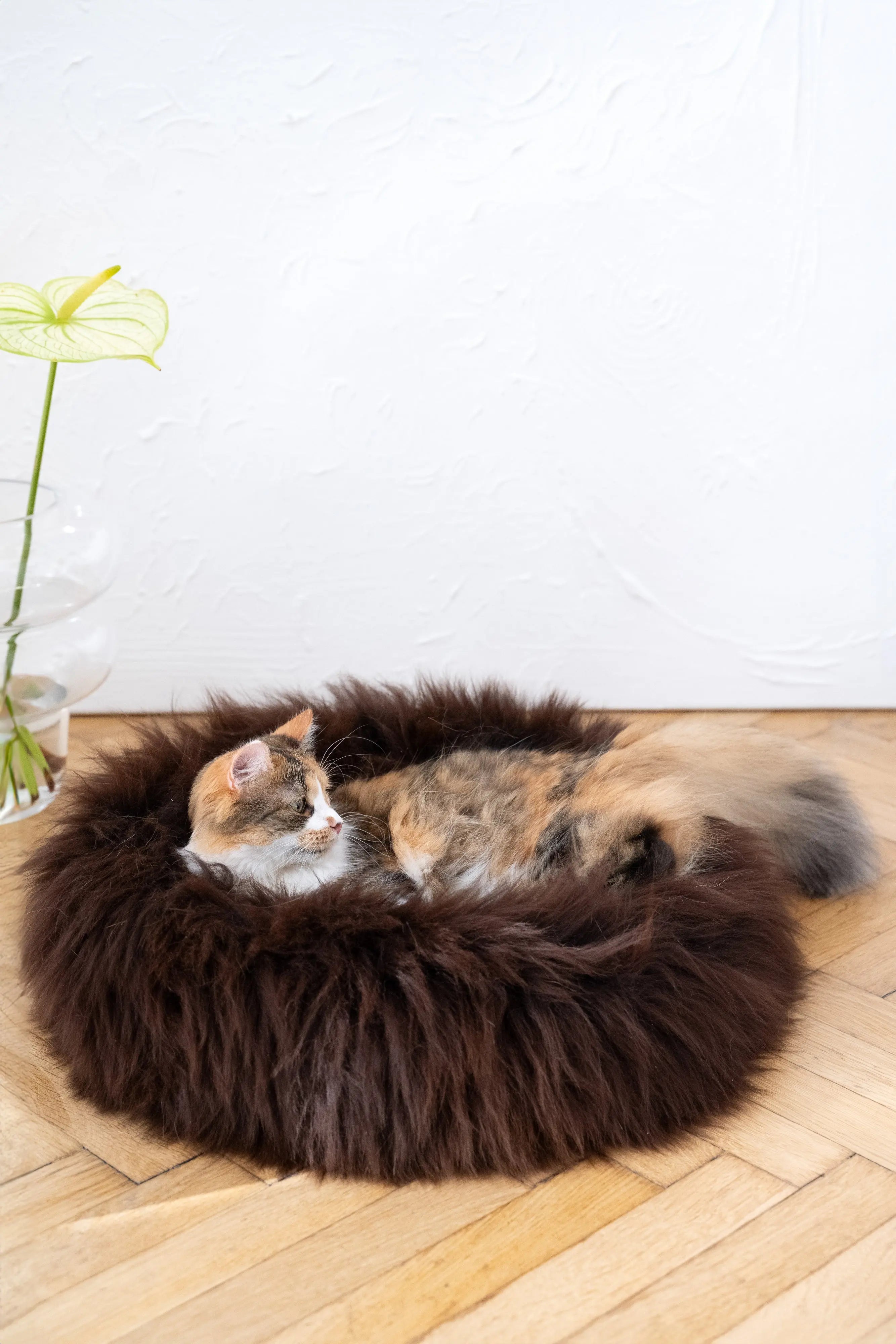 Round Natural Sheepskin Pet Bed - Brown Mellow Pet Store