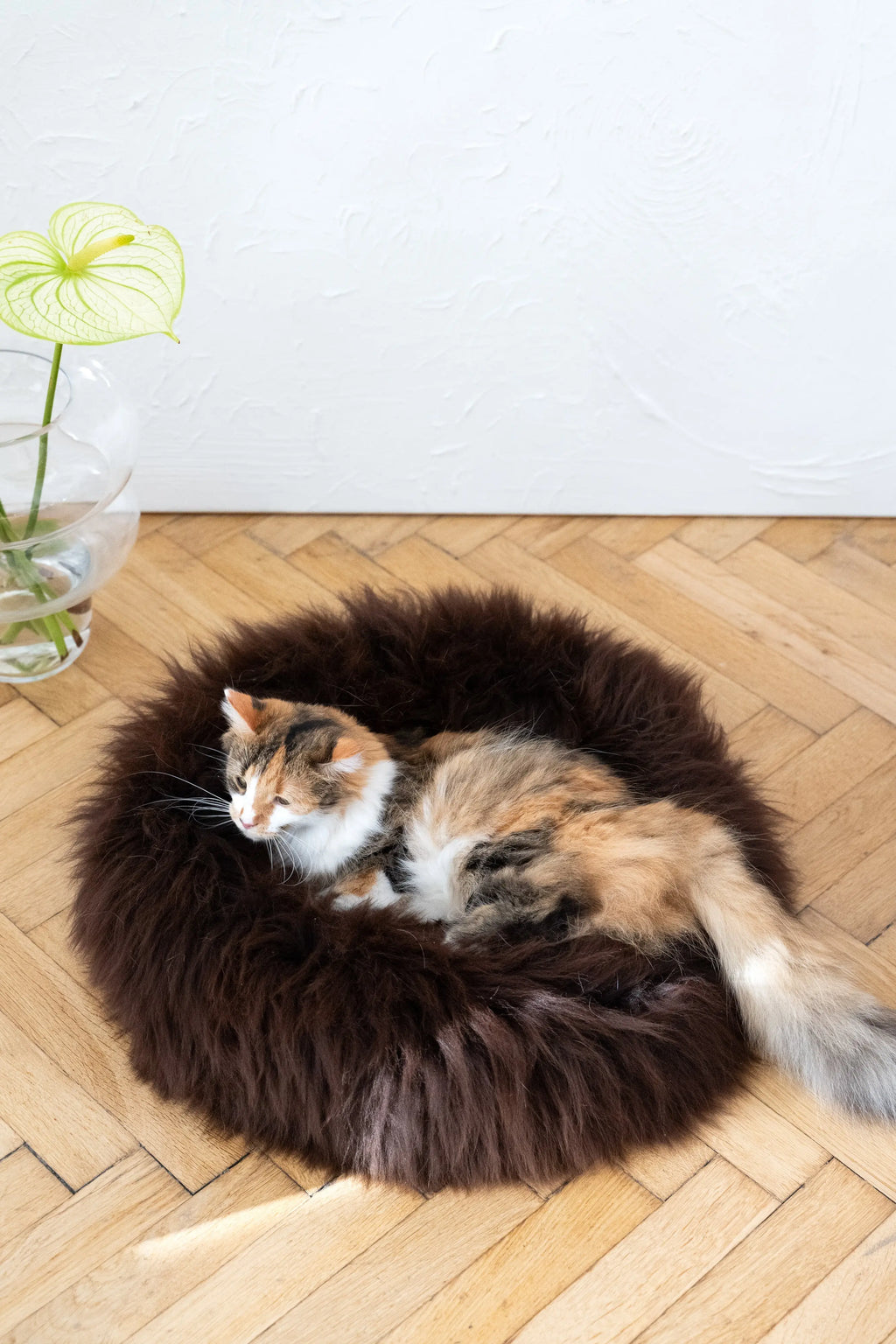 Round Natural Sheepskin Pet Bed - Brown Mellow Pet Store
