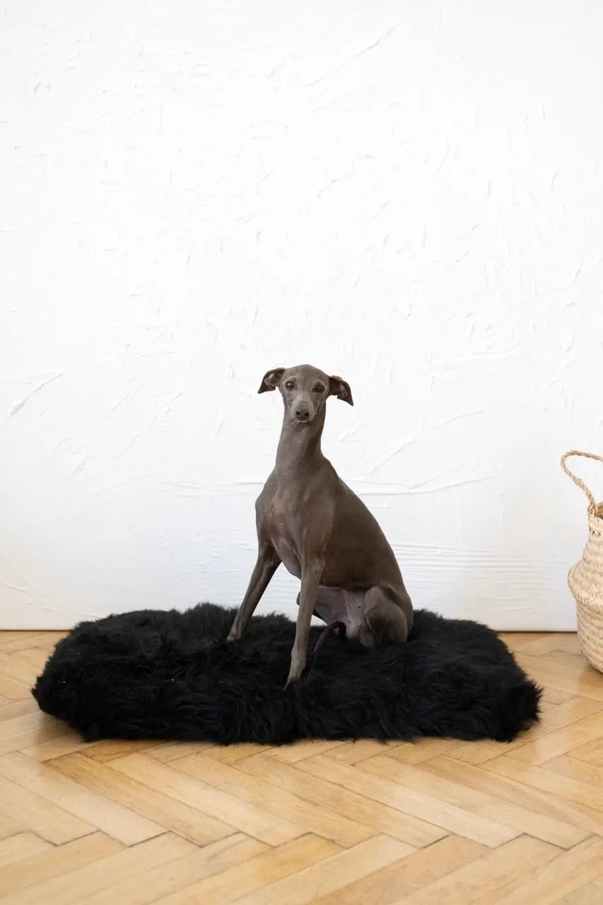 Square or Rectangular Natural Sheepskin Pet Mat - Black Mellow Pet Store