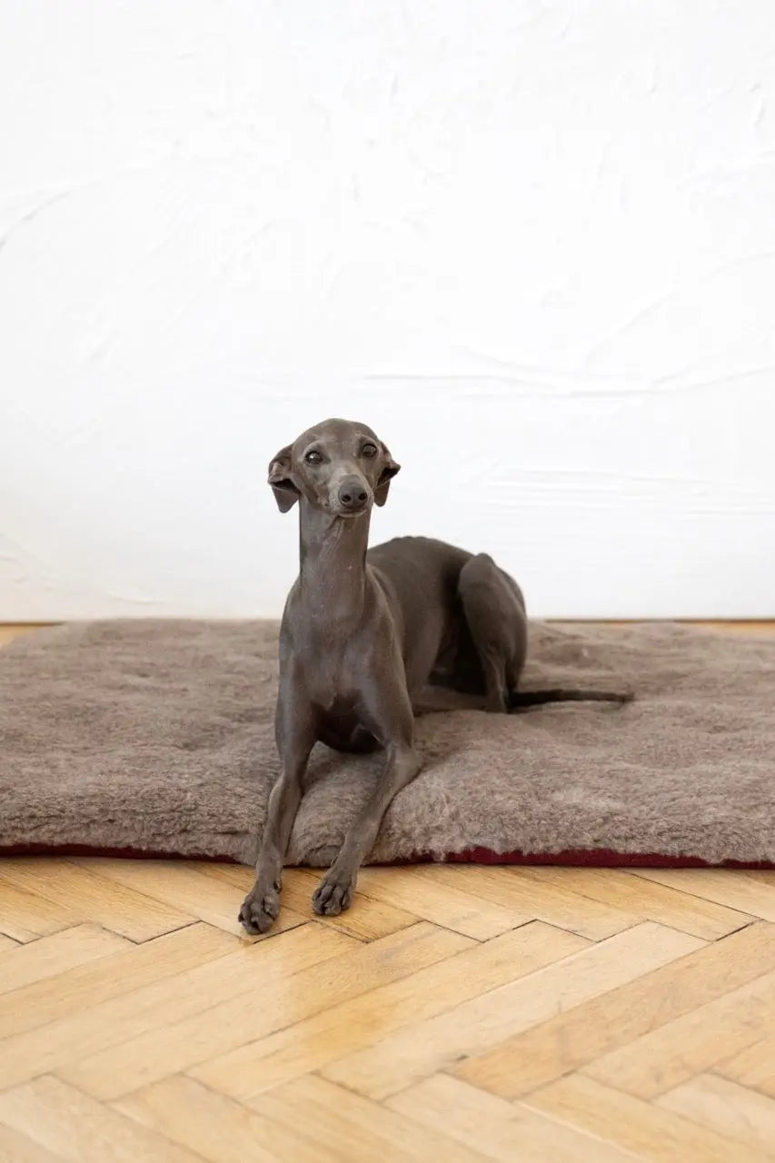 Square or Rectangular Natural Woolen Pet Mat - Beige Mellow Pet Store