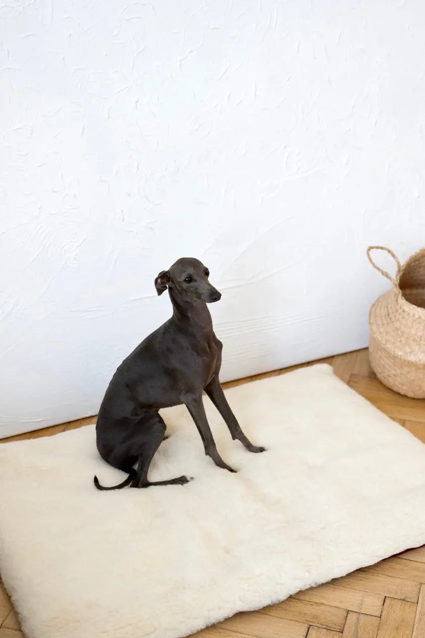 Square or Rectangular Natural Woolen Pet Mat - White Mellow Pet Store